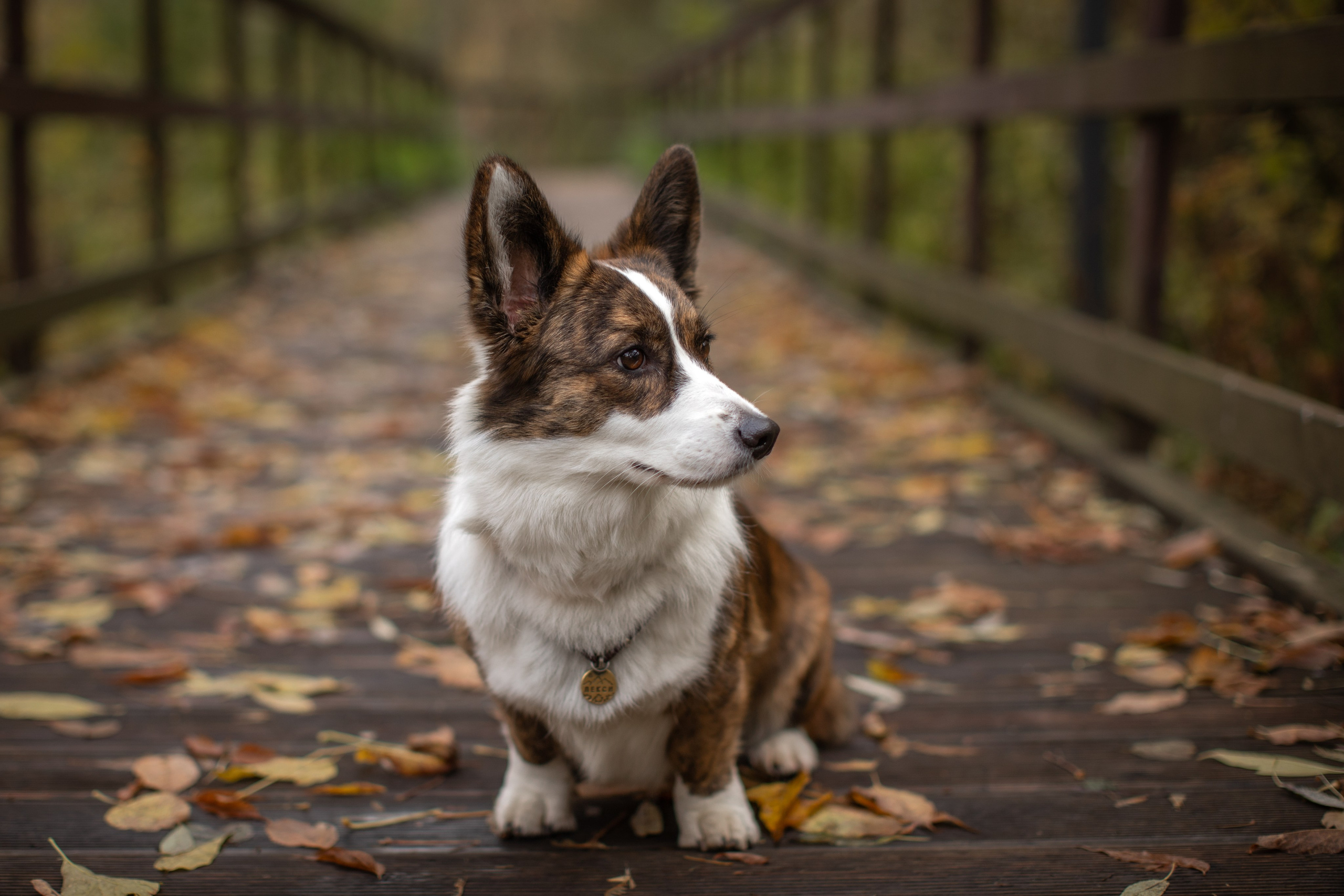 Михаил и Ксения. Детский и семейный фотограф Мария Киселёва. Москва