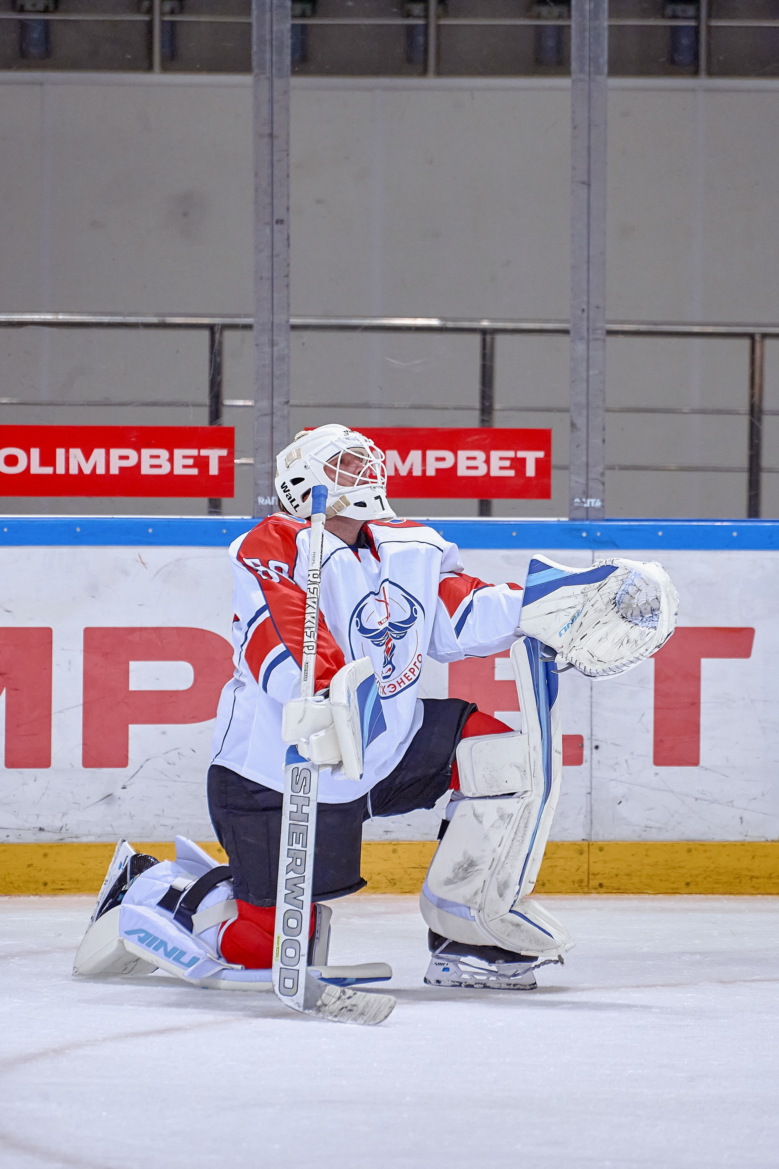 Платинум Арена — Хоккей — РусГидро. Фотограф Яковлев Роман — Красноярск