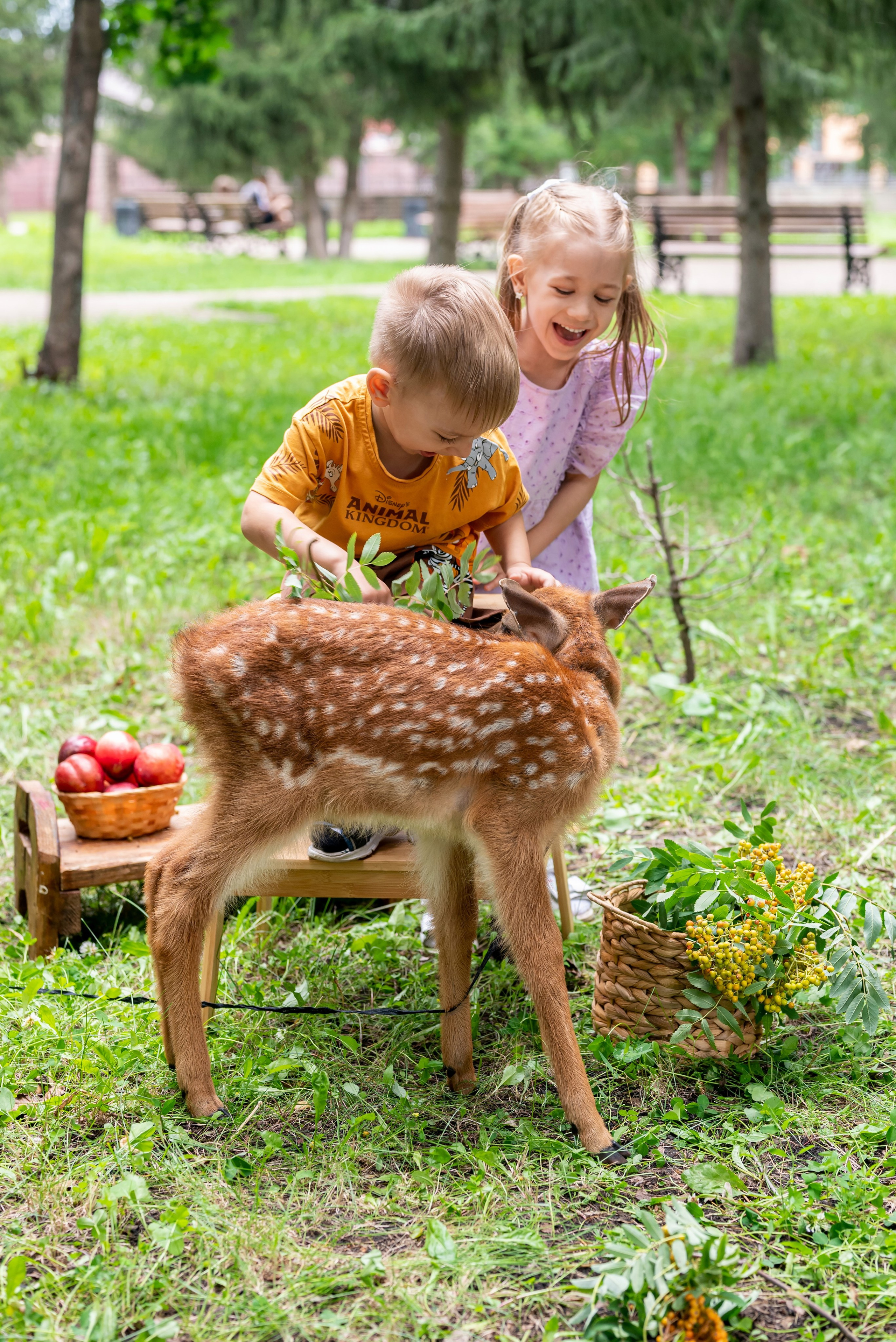 Фотопроект *Оленёнок Бэмби*. Фотограф в городе Салават