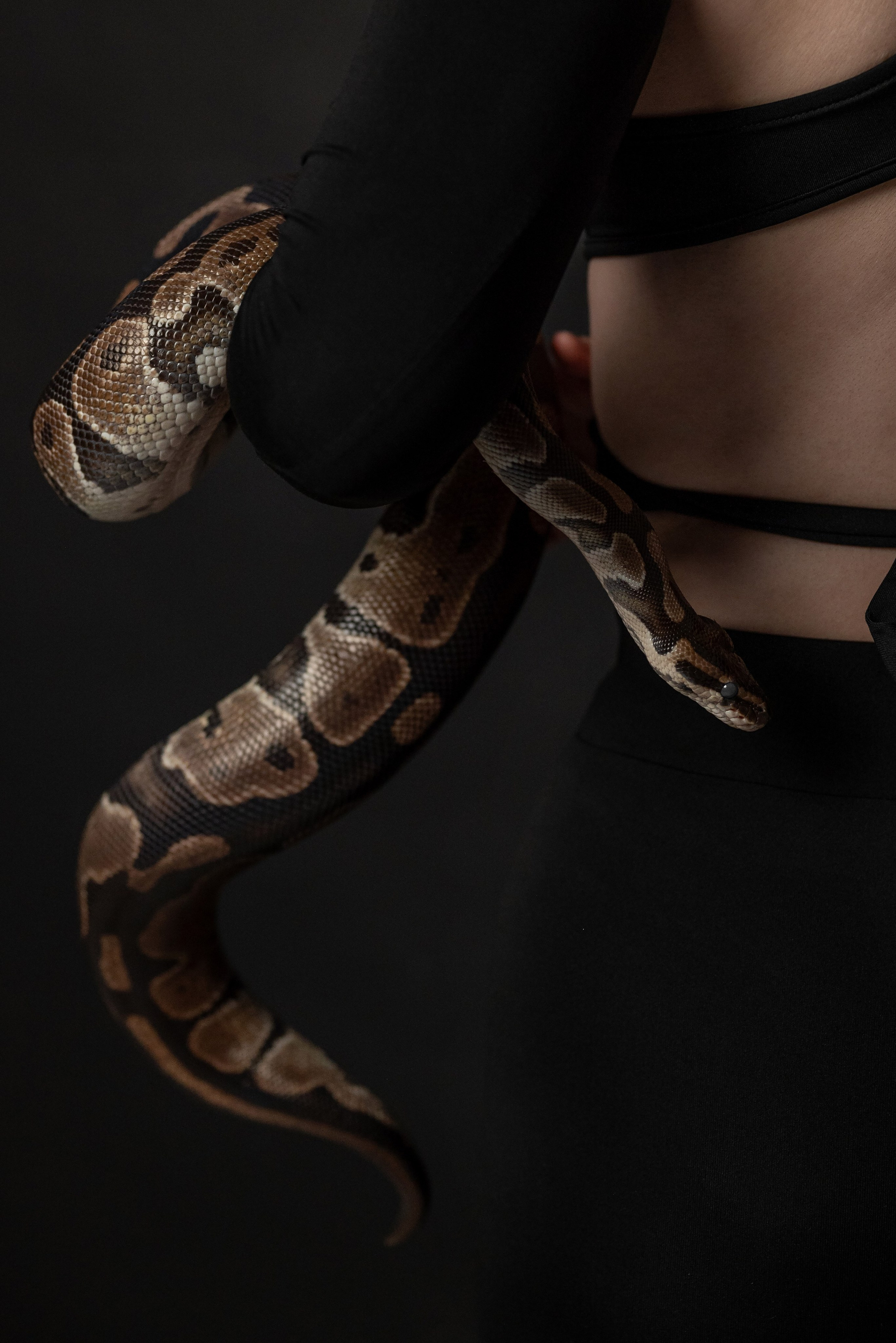 Фотопроект с питоном. Фотограф в городе Салават