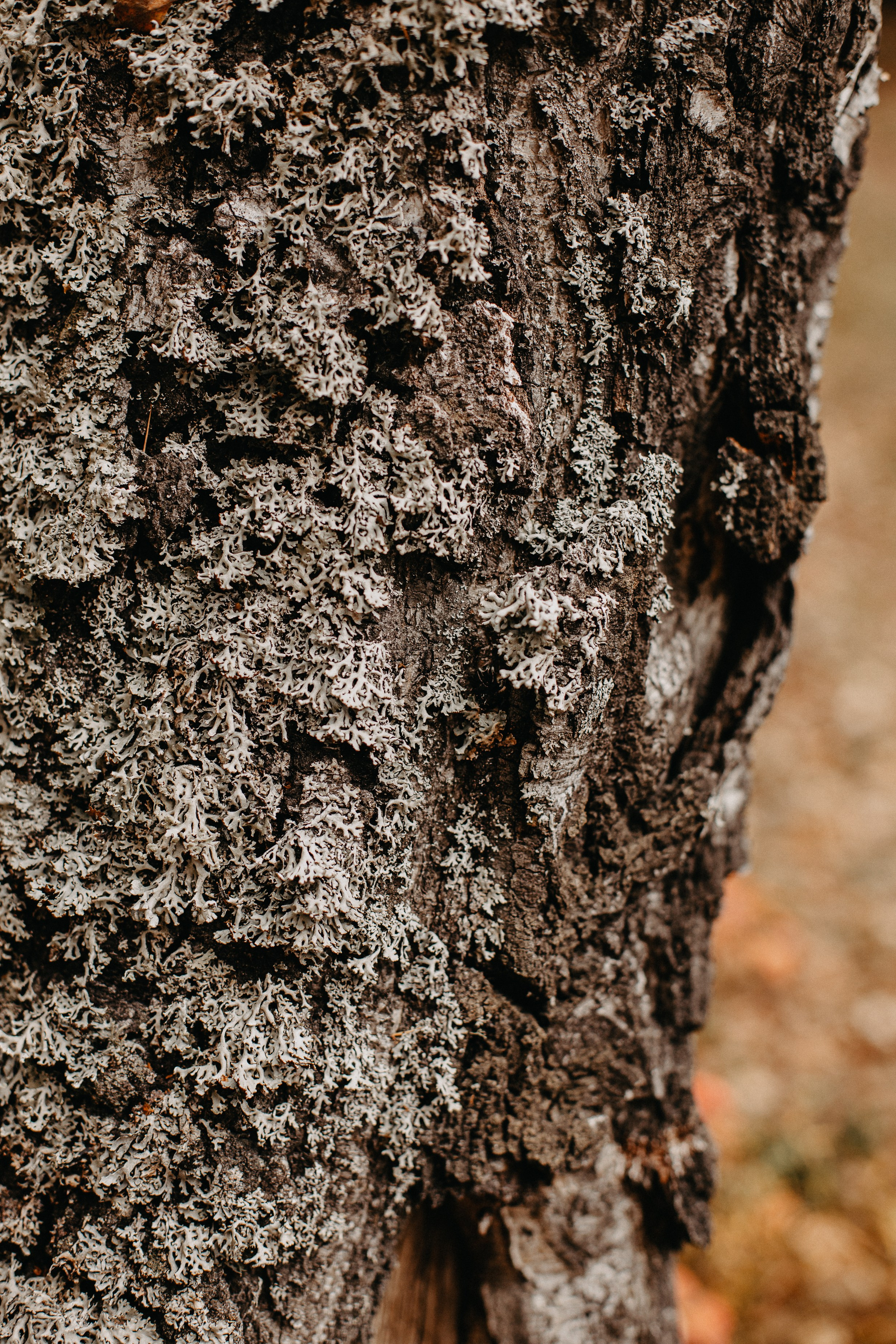Семь Братьев. Семейный фотограф Трусова Евгения в Екатеринбурге