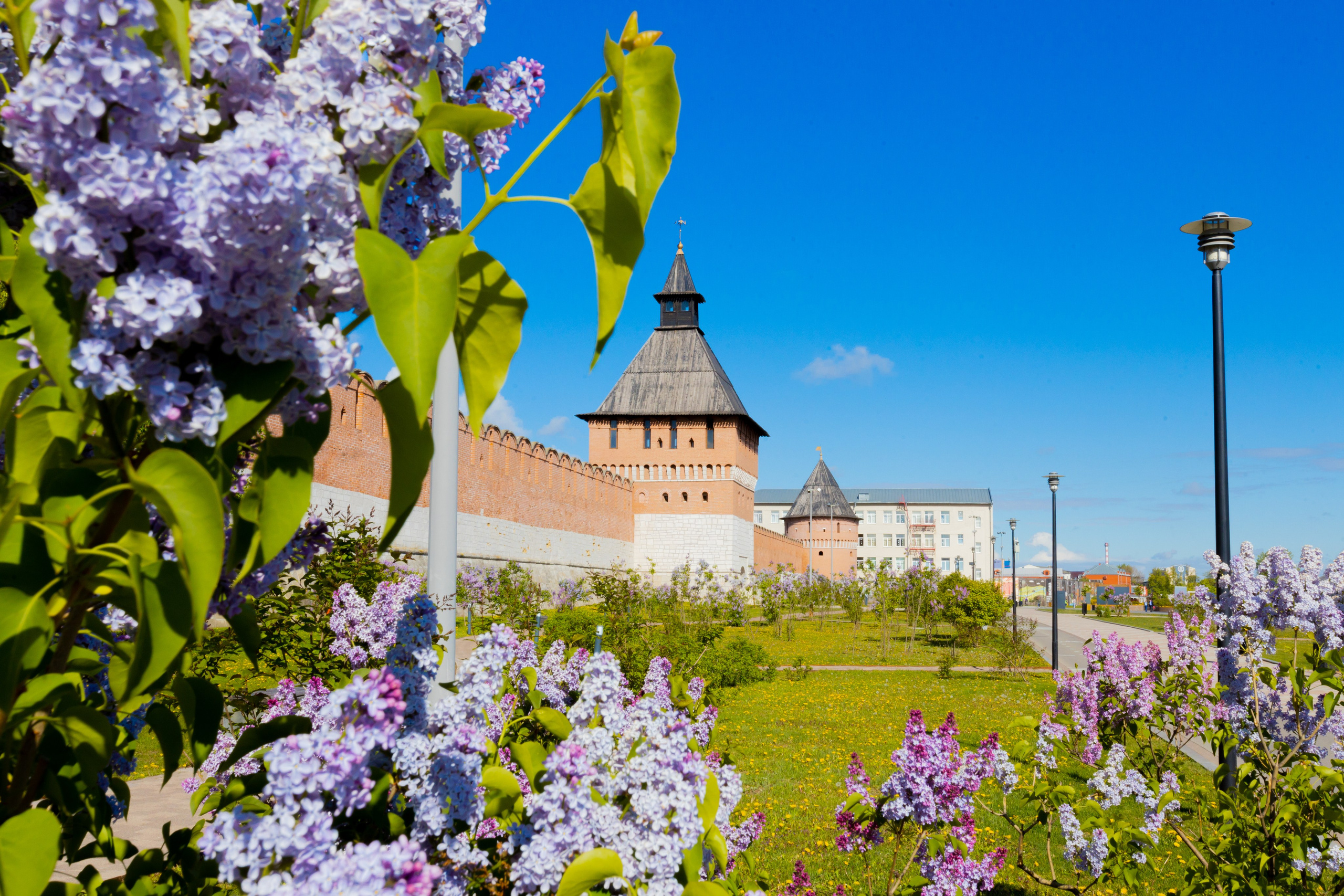 Весеннее цветение в Туле. Фотограф в Туле Крупский АнДРей. Фотостудия «КАДР71» в Туле