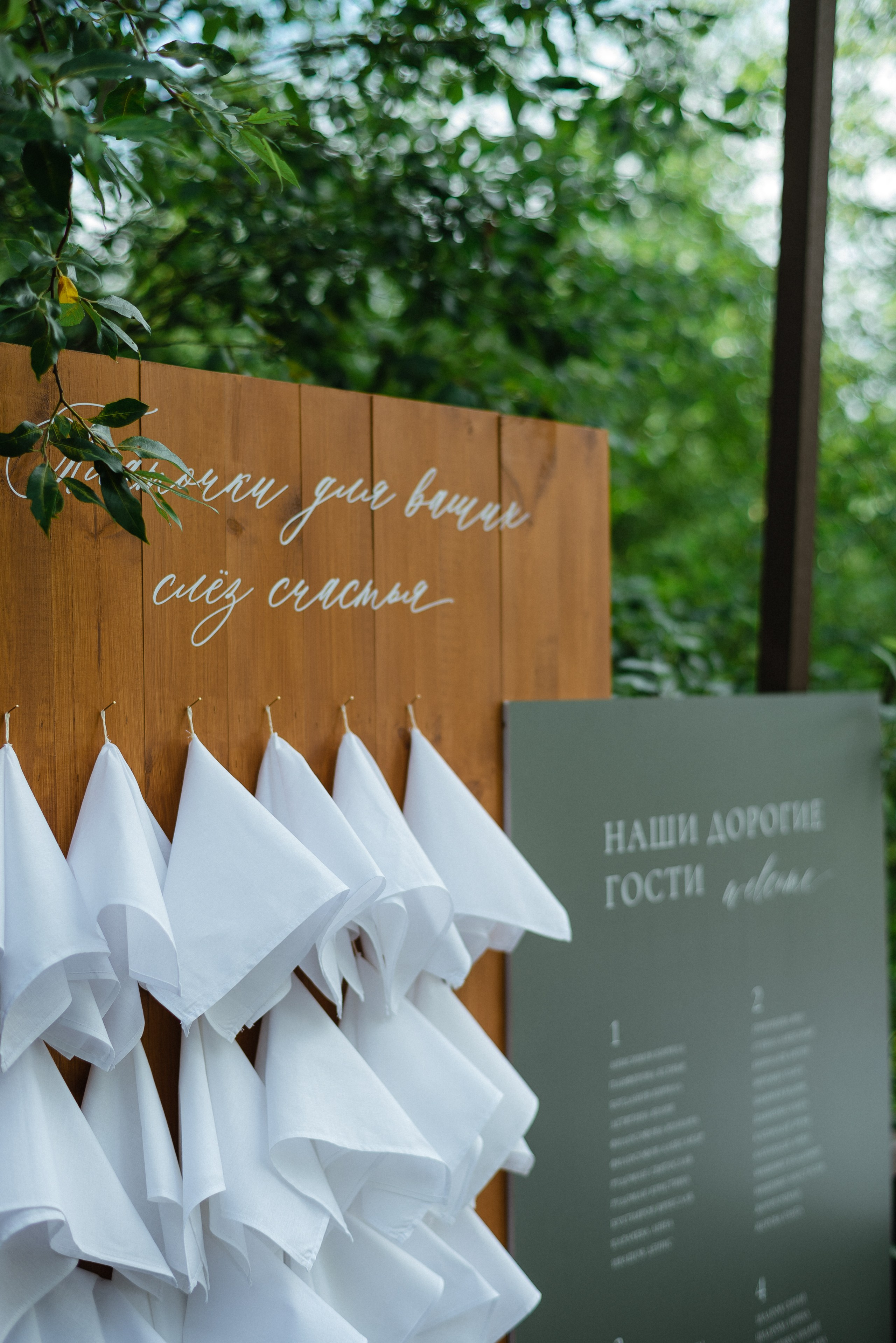 вэлкам зона