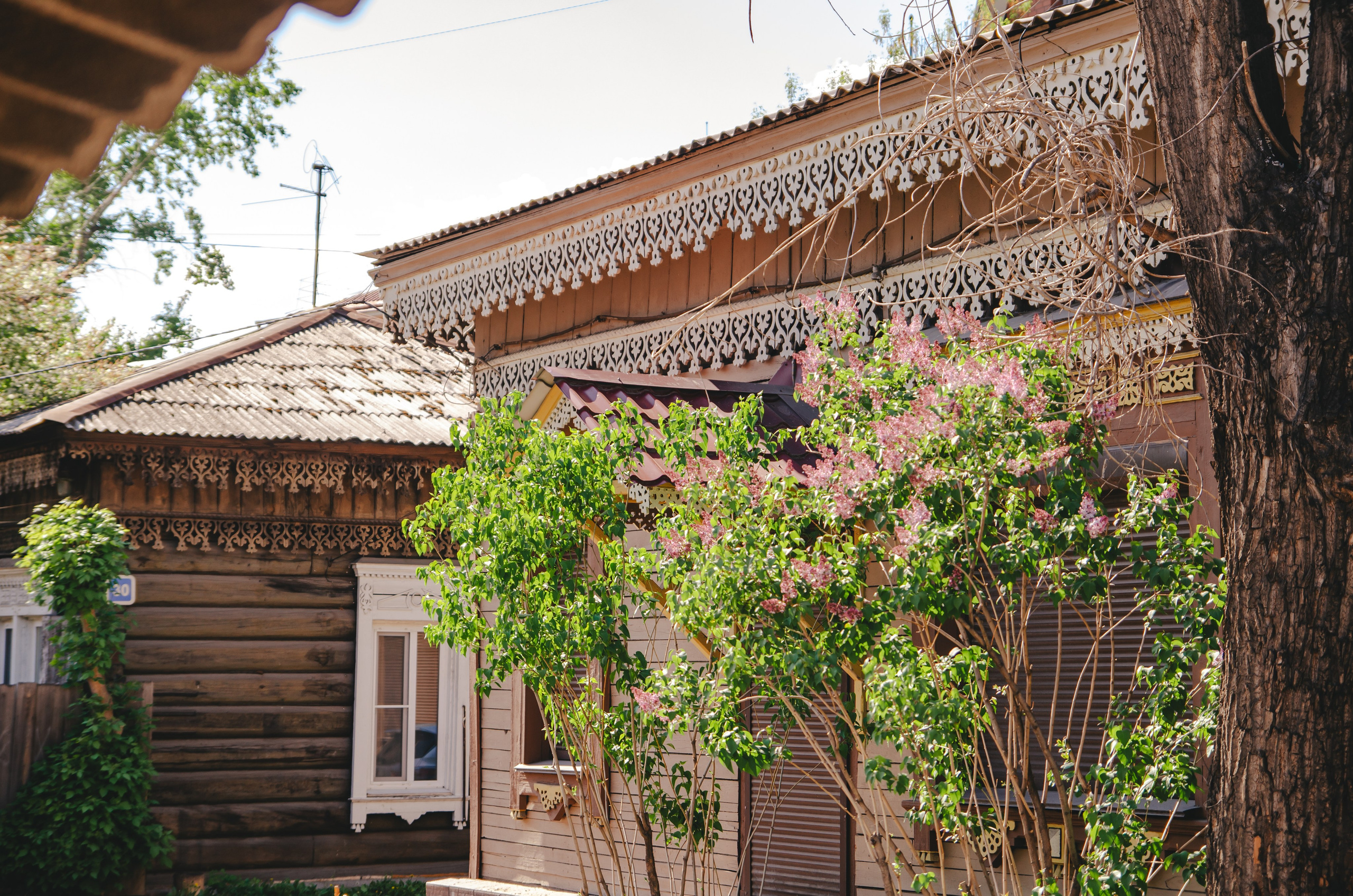 Travel. Пилот, фотограф и оператор Баркалова Светлана