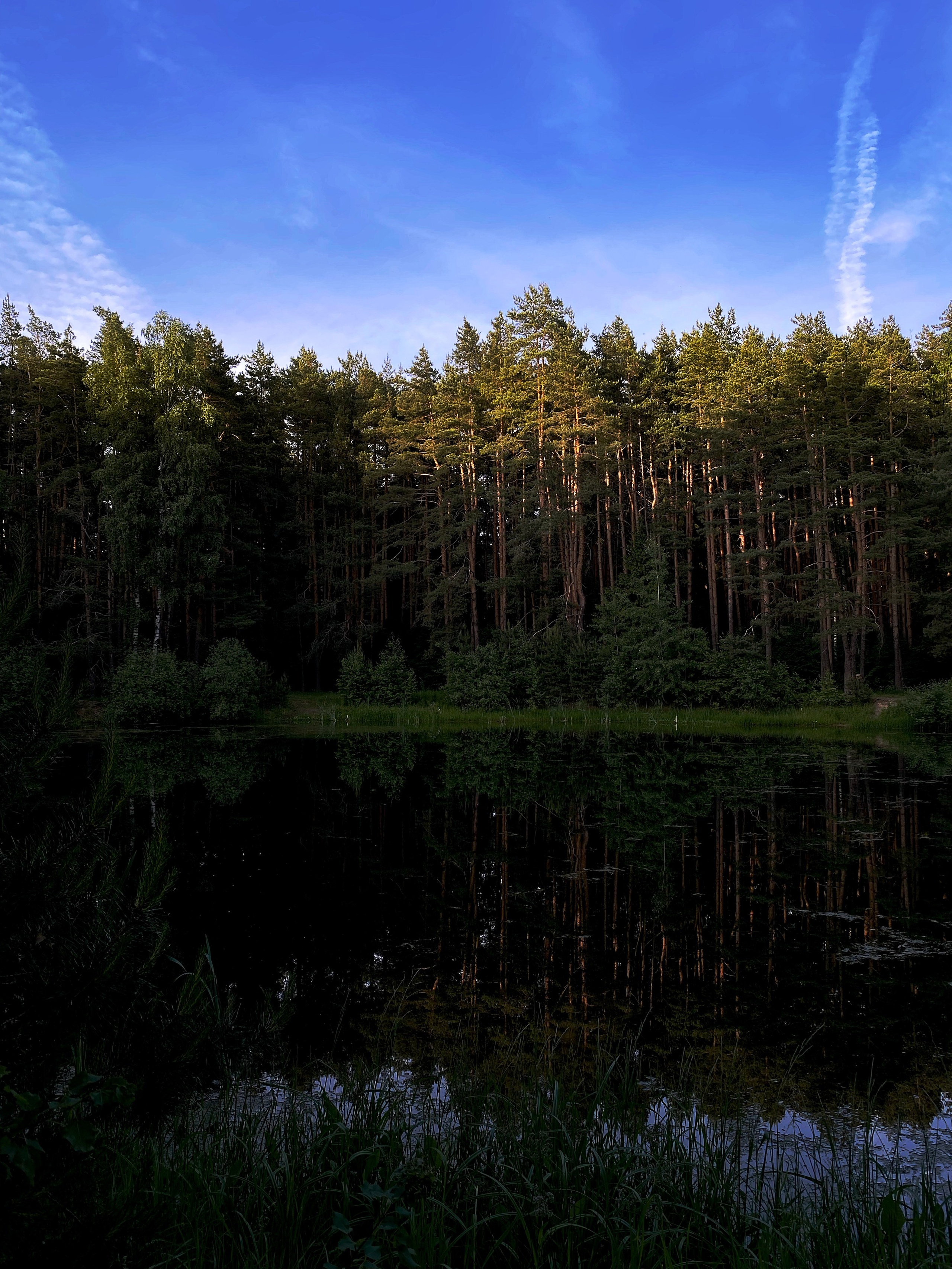 Landscapes. Oleg Kozachok — Photographer with Protanopia | Portraits, Texture & Light