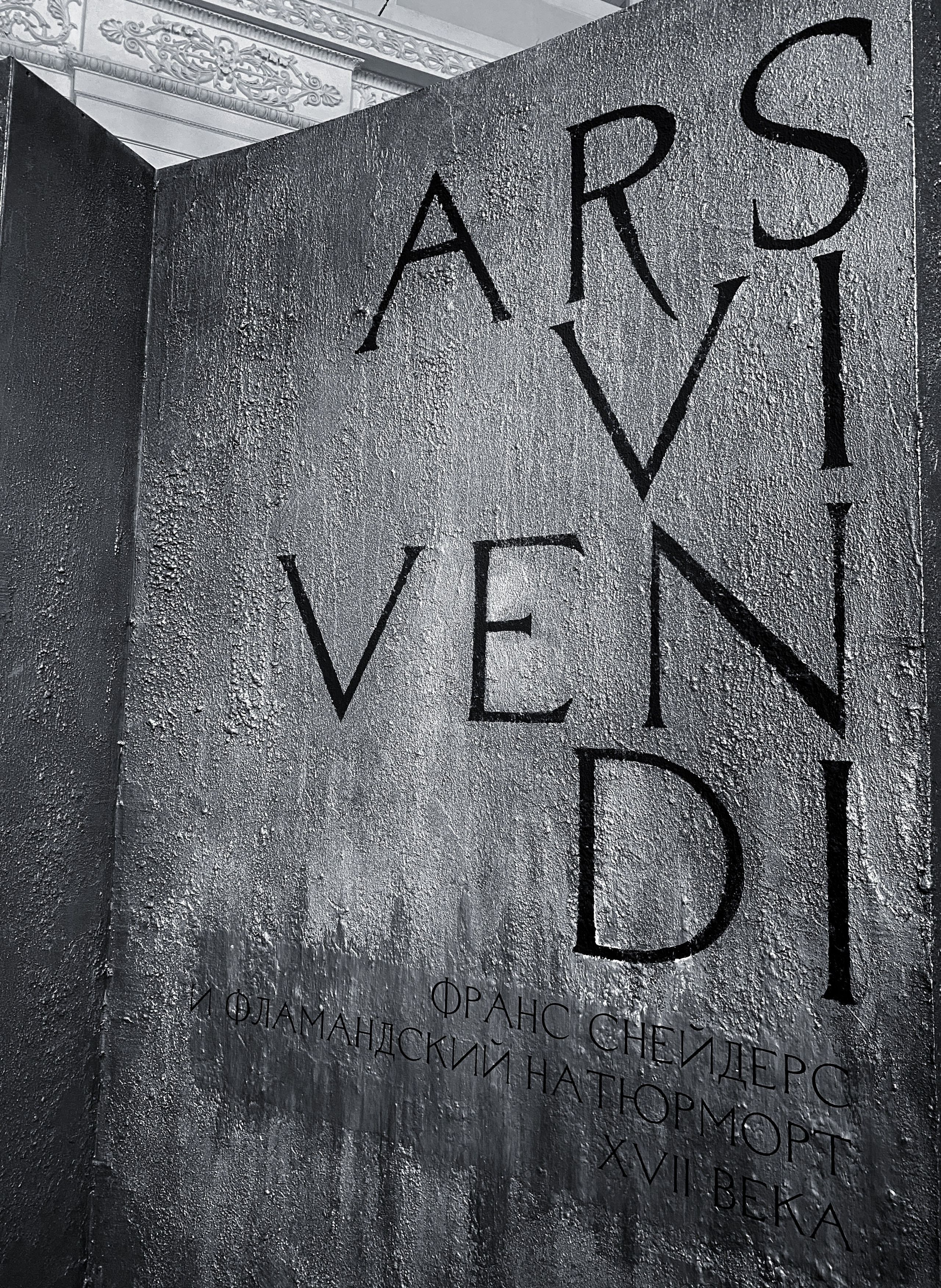 Эрмитаж на айфон. Портретный фотограф DanilNabody