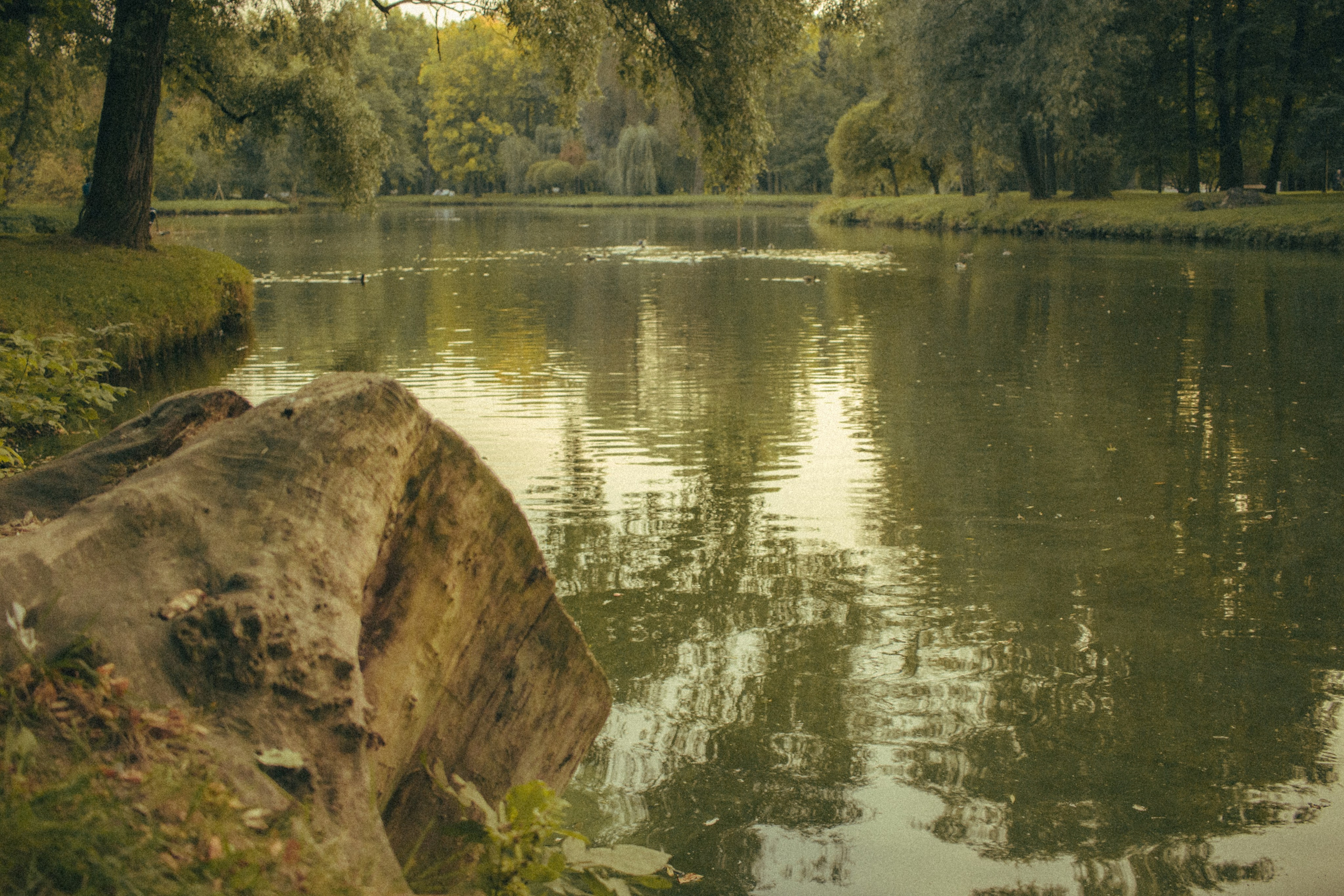 Осень. Портретный фотограф DanilNabody