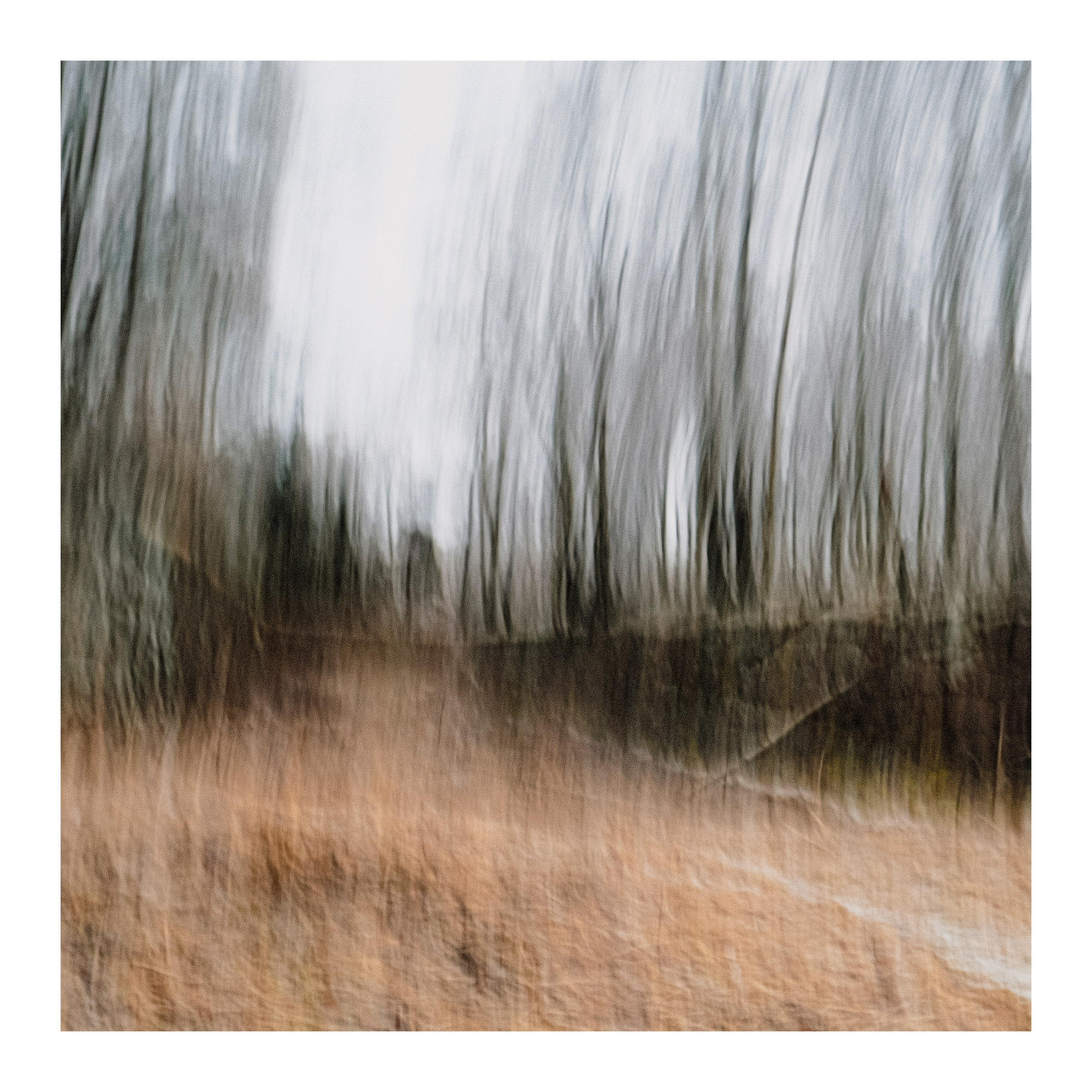 Парк. Портретный и арт-фотограф в Санкт-Петербурге и Выборге Олег Борцов