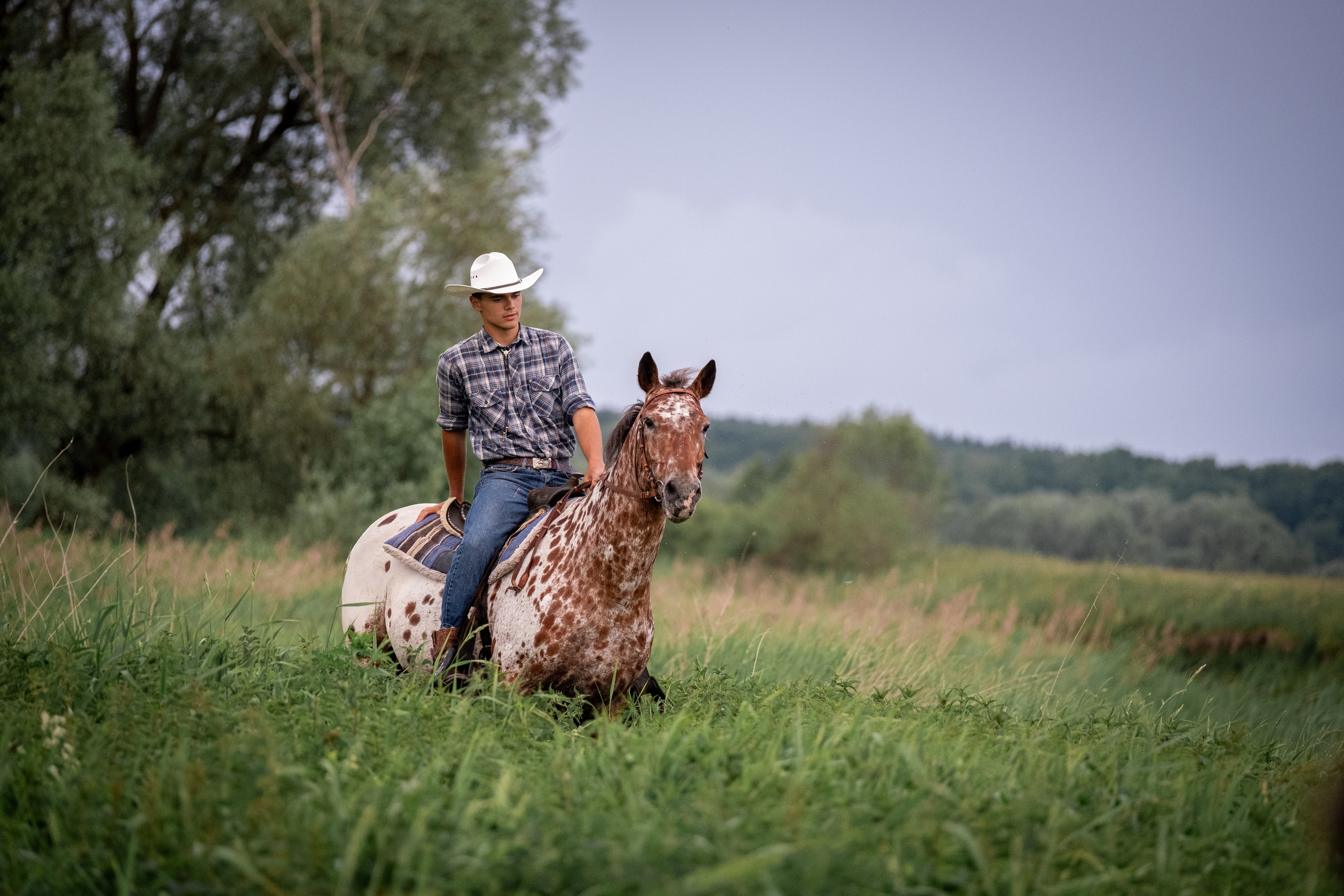 Люди и лошади!. Зоофотограф, фотограф животных в Москве и области Дина Дамоцева