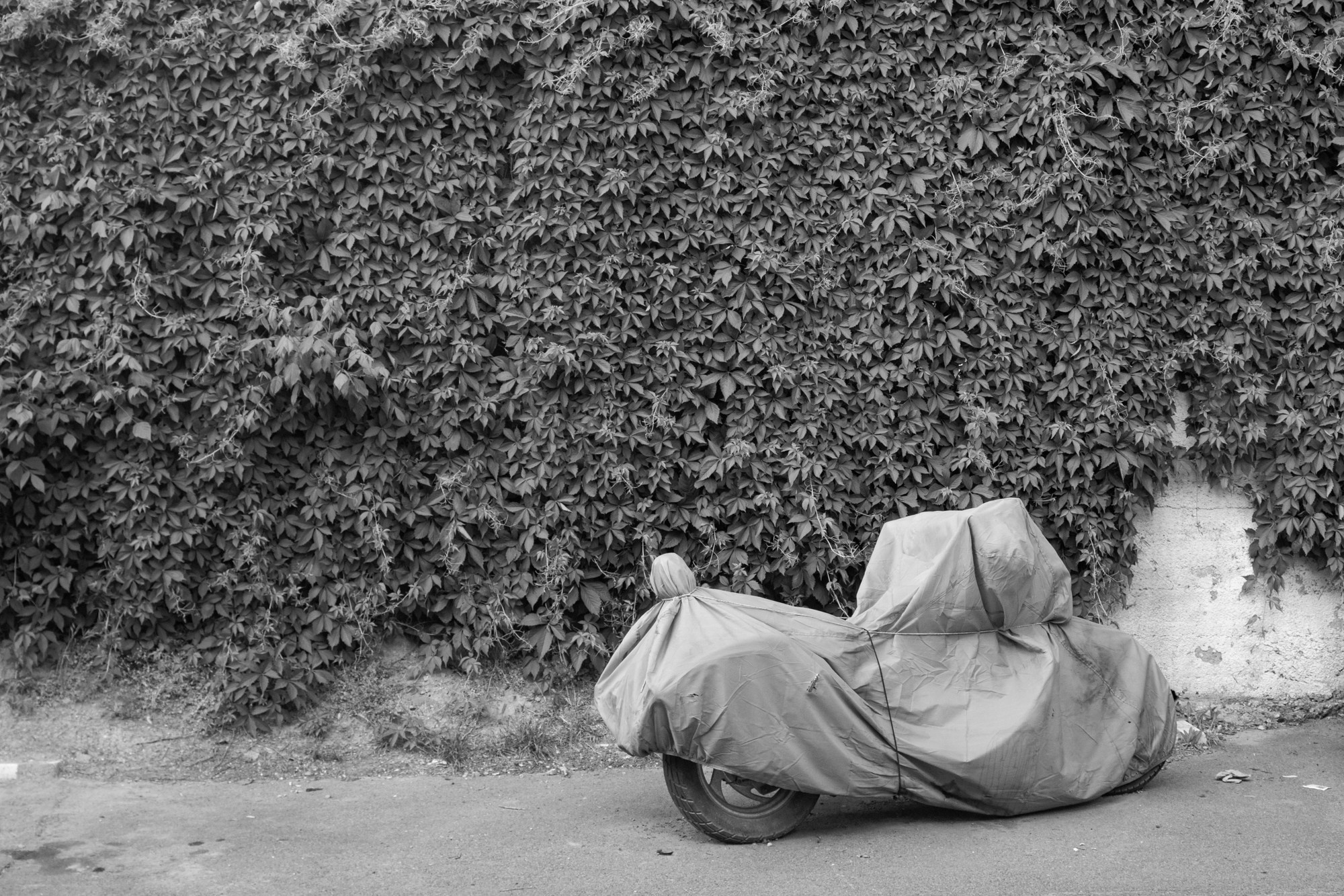 WAITING HALL. Alexander Malchenko