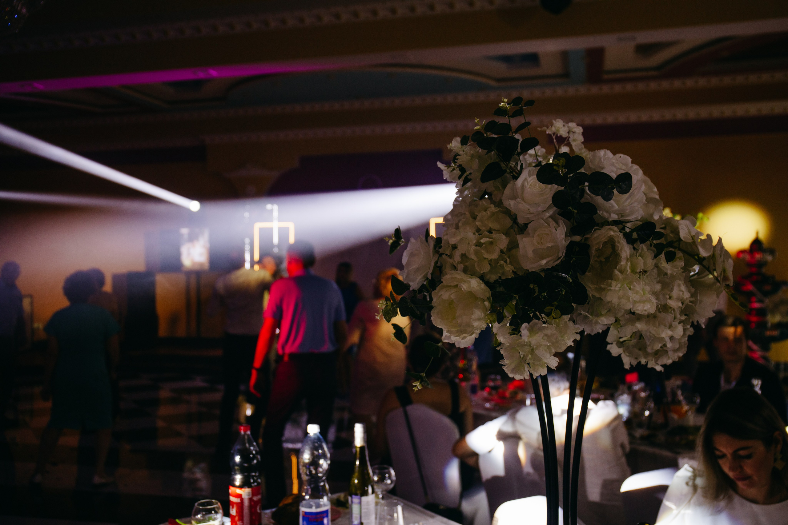 Дмитрий и Анастасия. Свадебный и женский фотограф