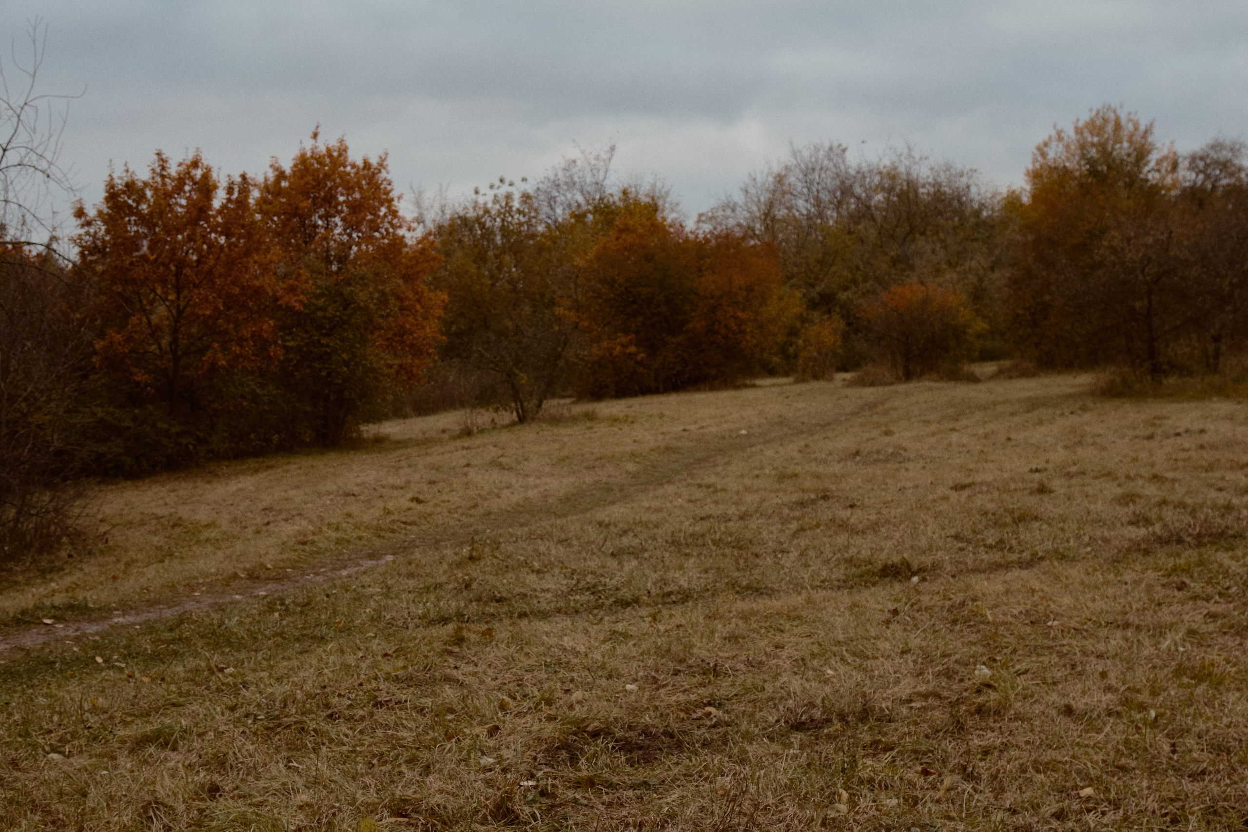 Юлия и Евгений. Фотограф лавстори Москва/МО Приятелева Ангелина