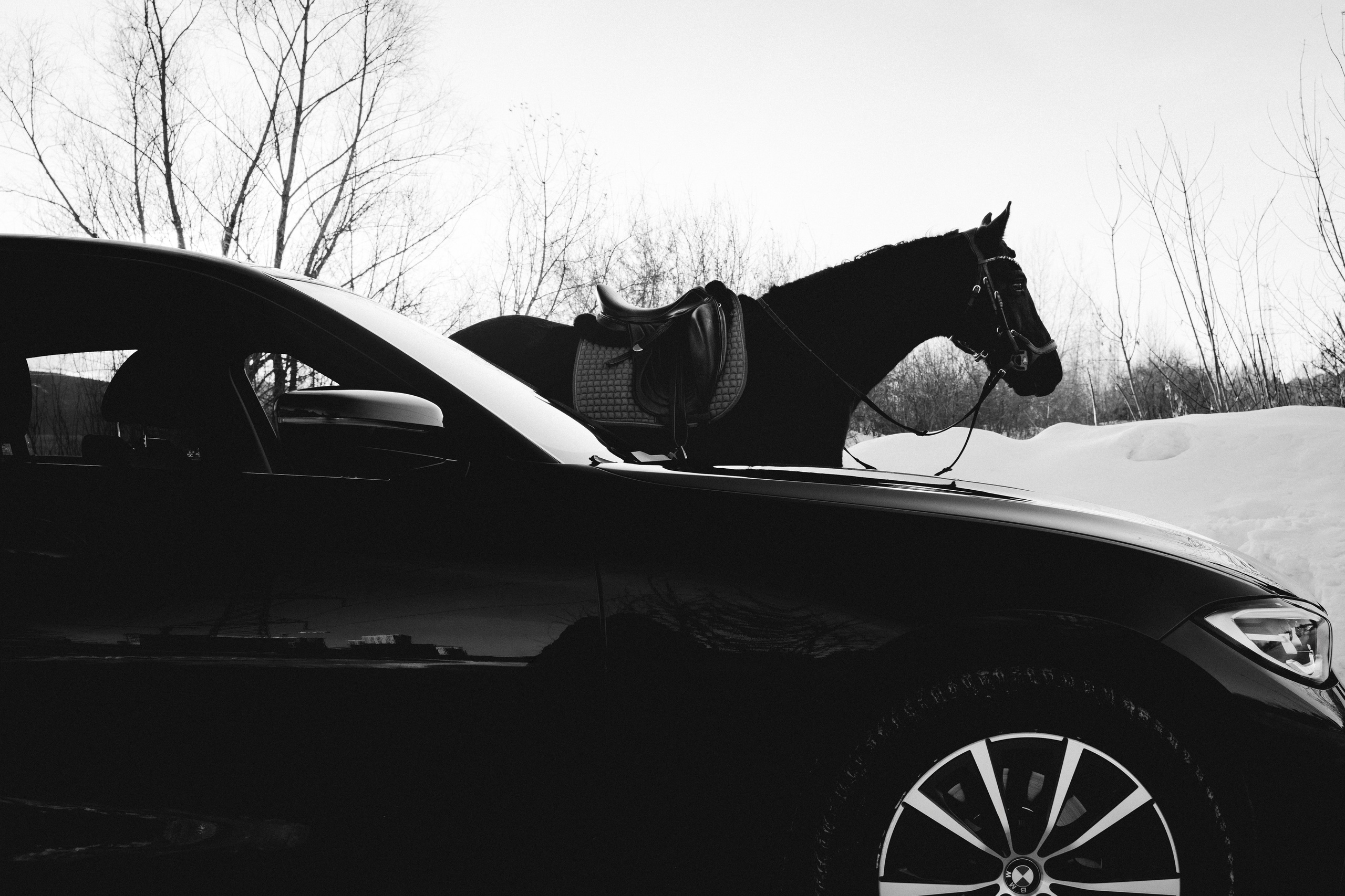BMW G20 with horse. Автомобильный фотограф и видеограф в Новосибирске|Александра Косухина
