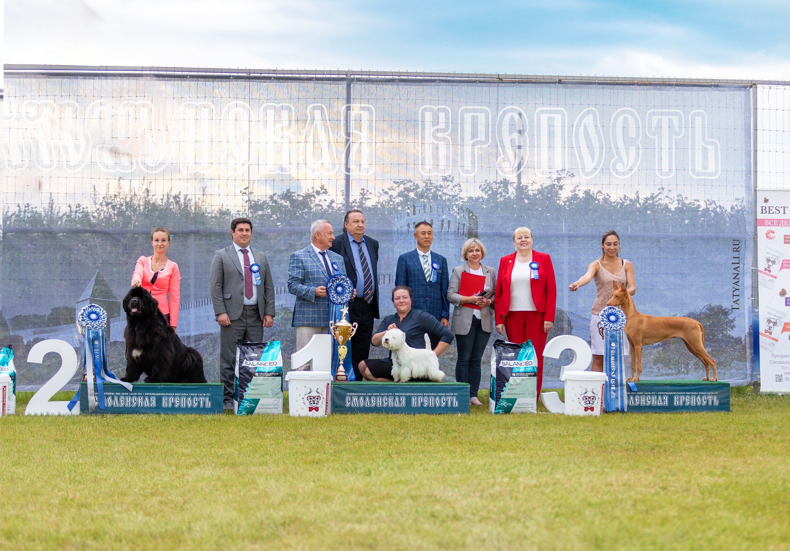 Фотограф — анималист Татьяна Ли