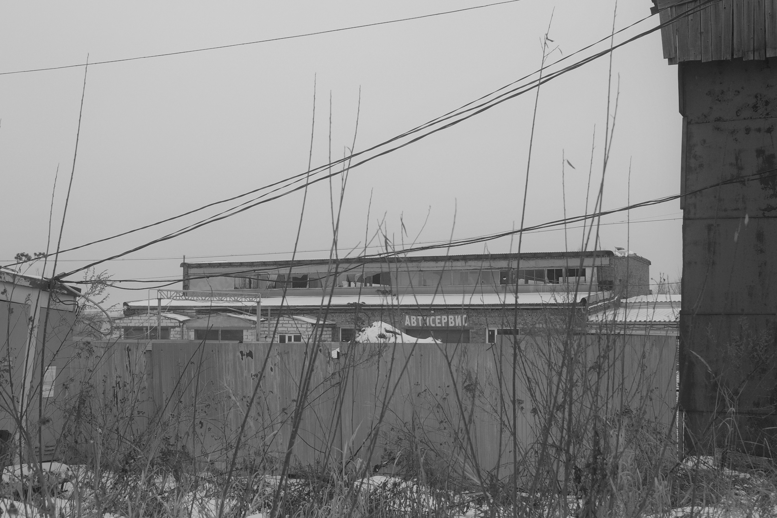 — 2025. Фотограф Злата Спицына