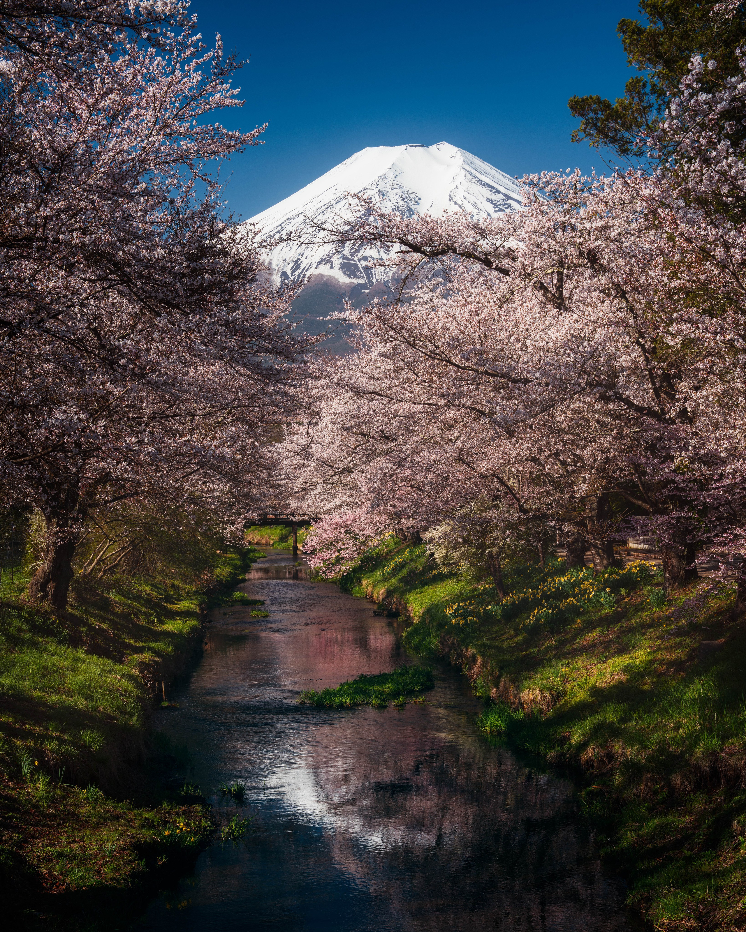Japan. Сергей Садов о путешествиях, пейзажах и архитектуре