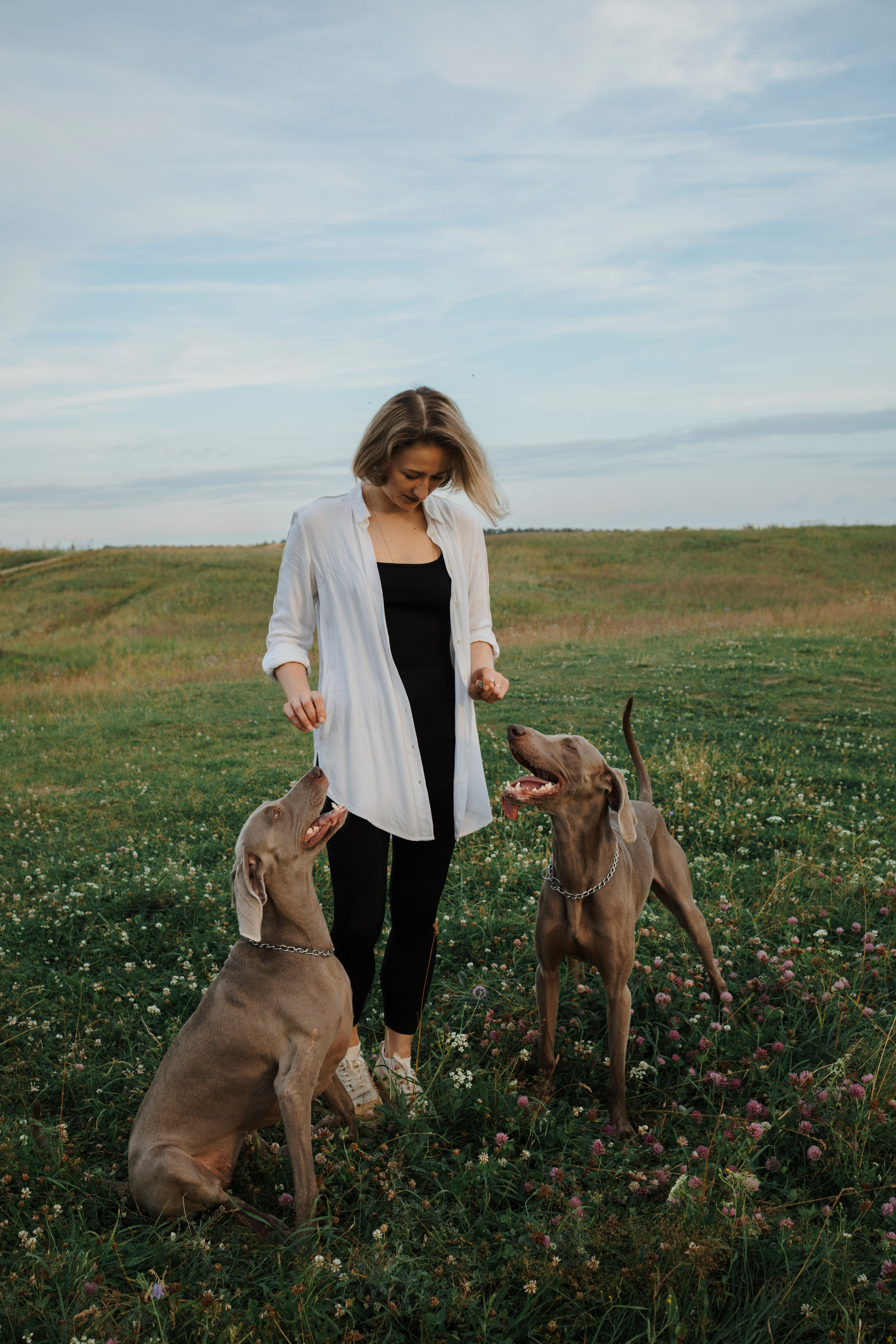 Маргарита и веймаранеры. Фотограф-анималист в Санкт-Петеребурге Титова Алиса