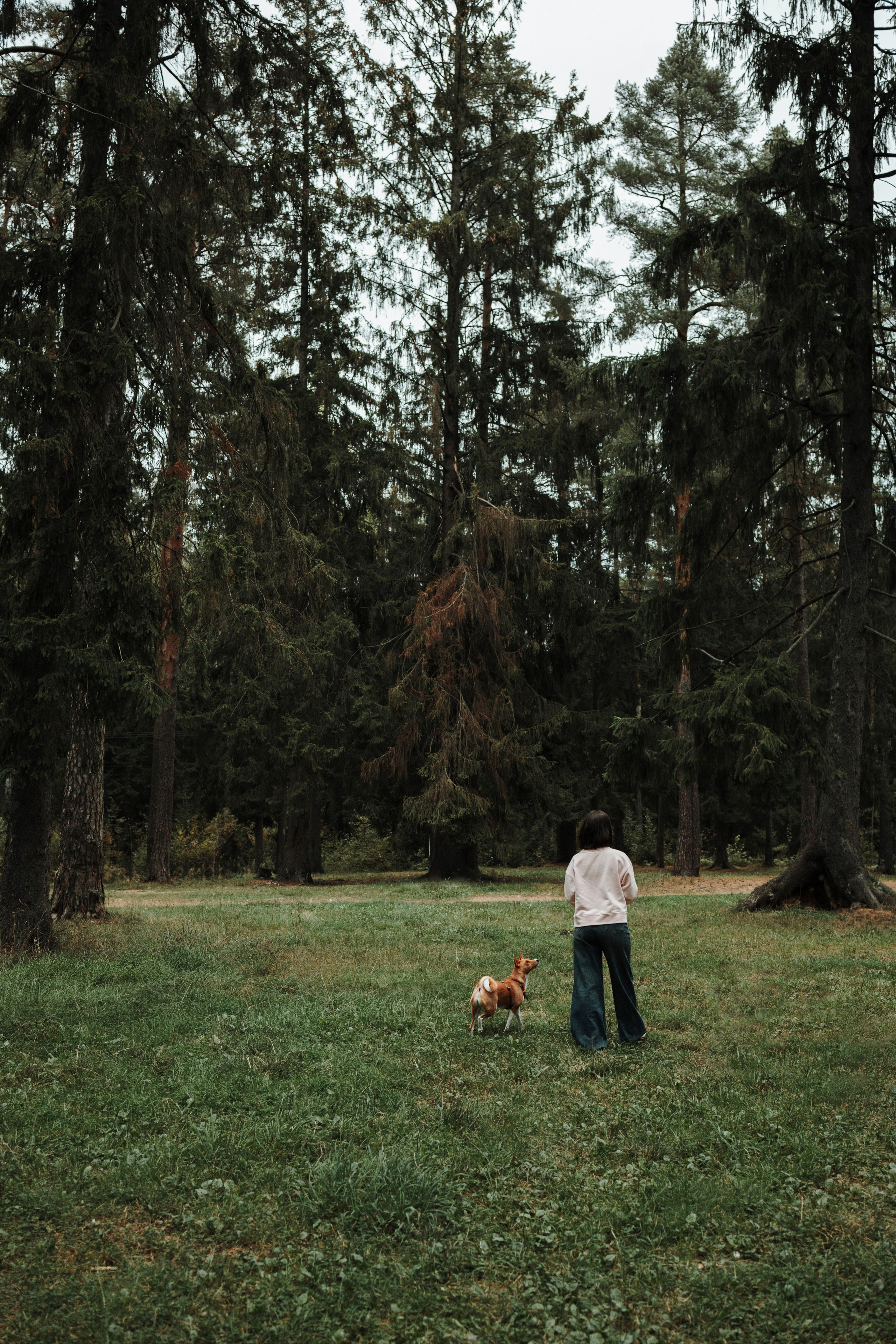 Даша и Лора. Фотограф-анималист в Санкт-Петеребурге Титова Алиса