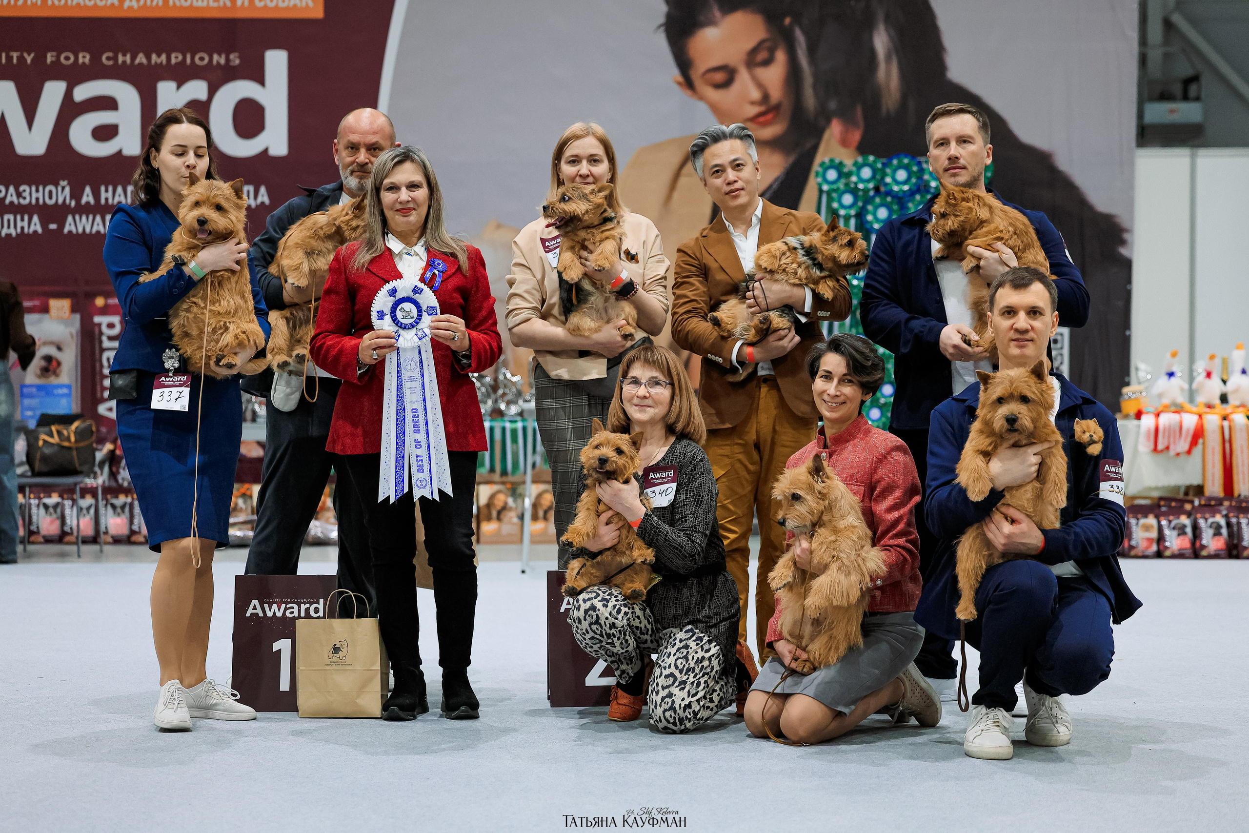 28-29.03.2026 Рейтинговая выставка в Новосибирске. Фотограф Анималист из Новосибирска Татьяна Кауфман