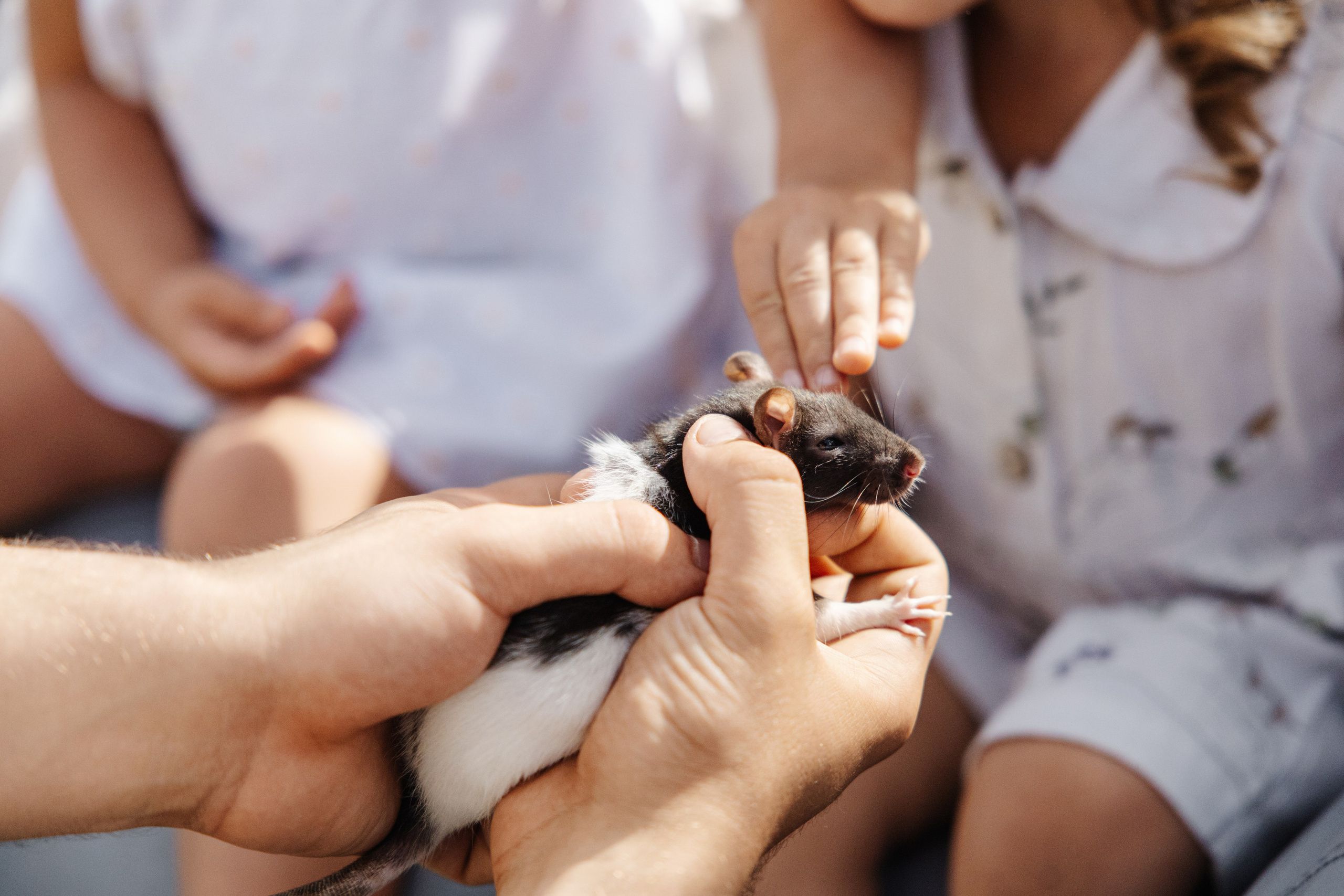 ГЕНДЕР ПАТИ. Фотограф в Красноярске