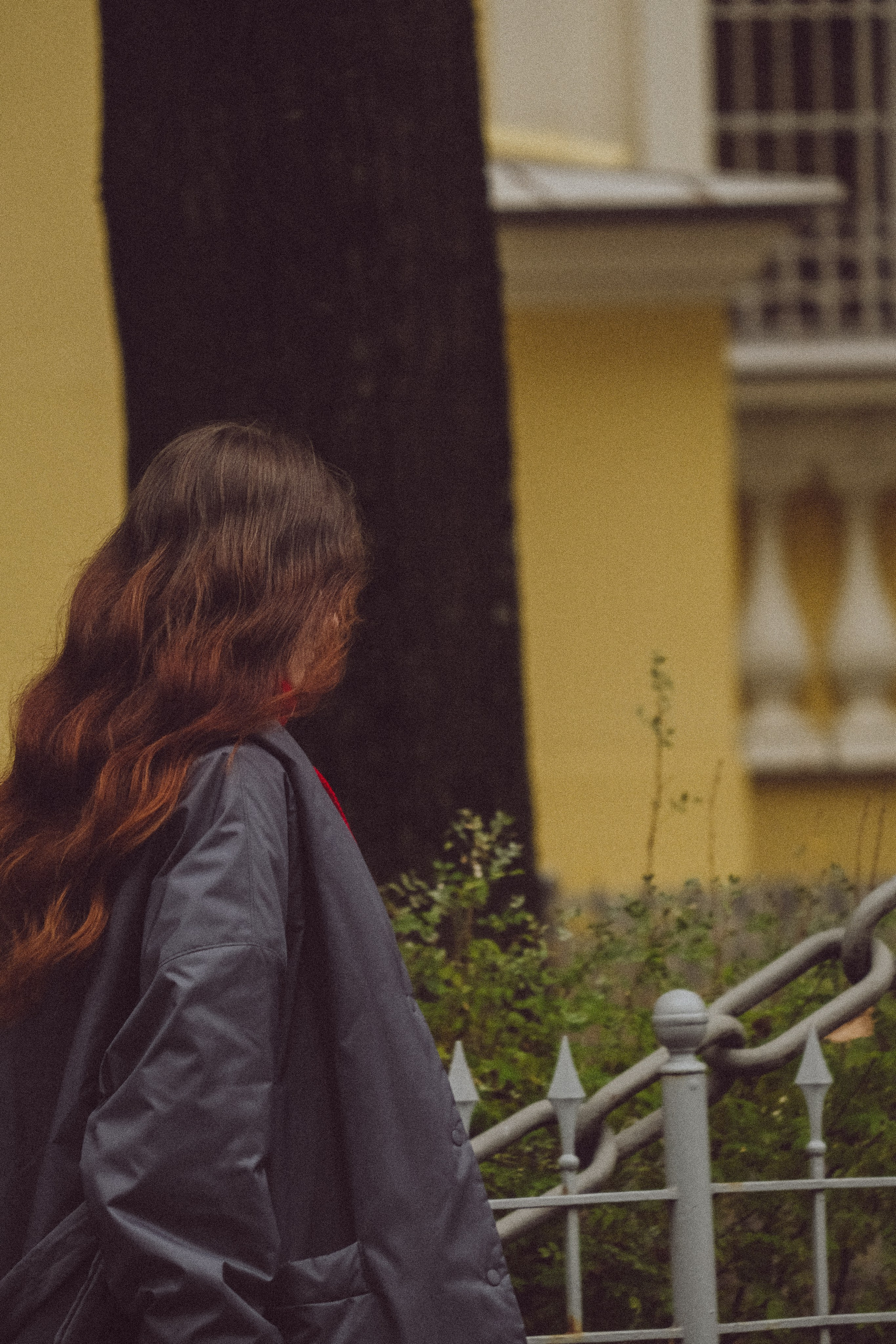 Осень. Профессиональный фотограф, Санкт-Петербург — Виктория Богомолова