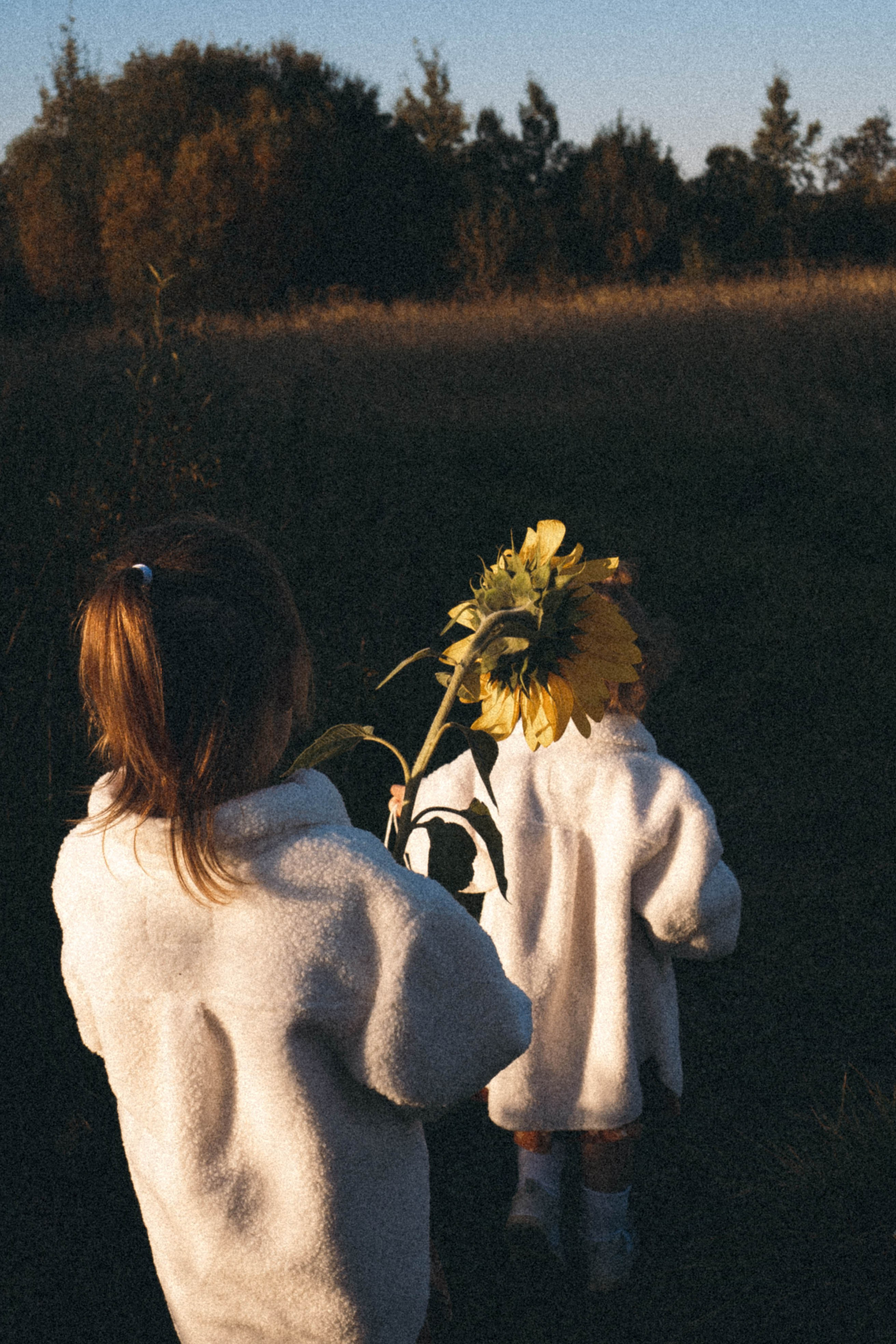 Семейная серия. Профессиональный фотограф, Санкт-Петербург — Виктория Богомолова
