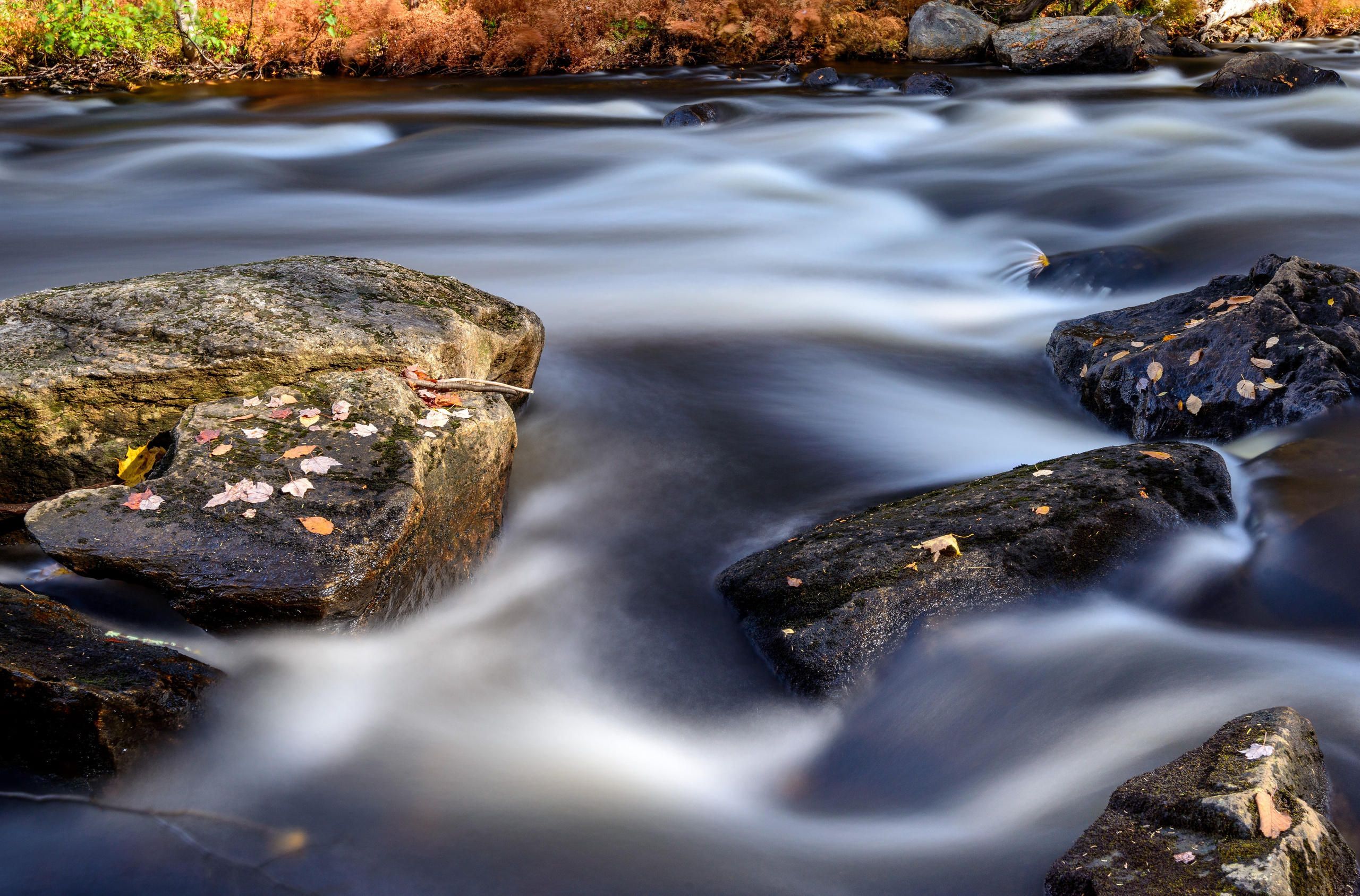 Осень в Канаде. Пейзажный фотограф Сергей Пестерев. Фото природы