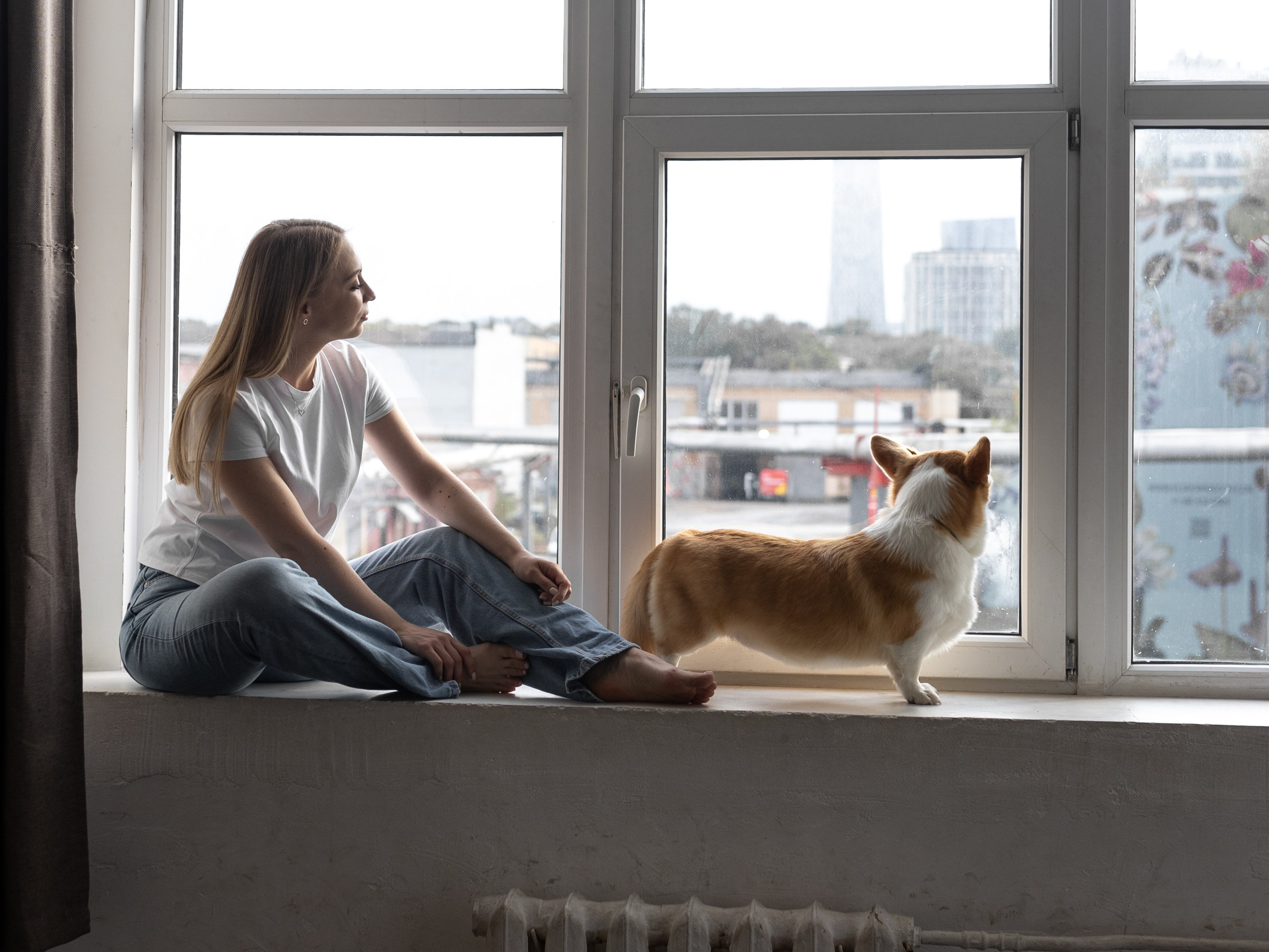 Оливка и Ника. Фотограф-анималист в Москве Кириллова Татьяна