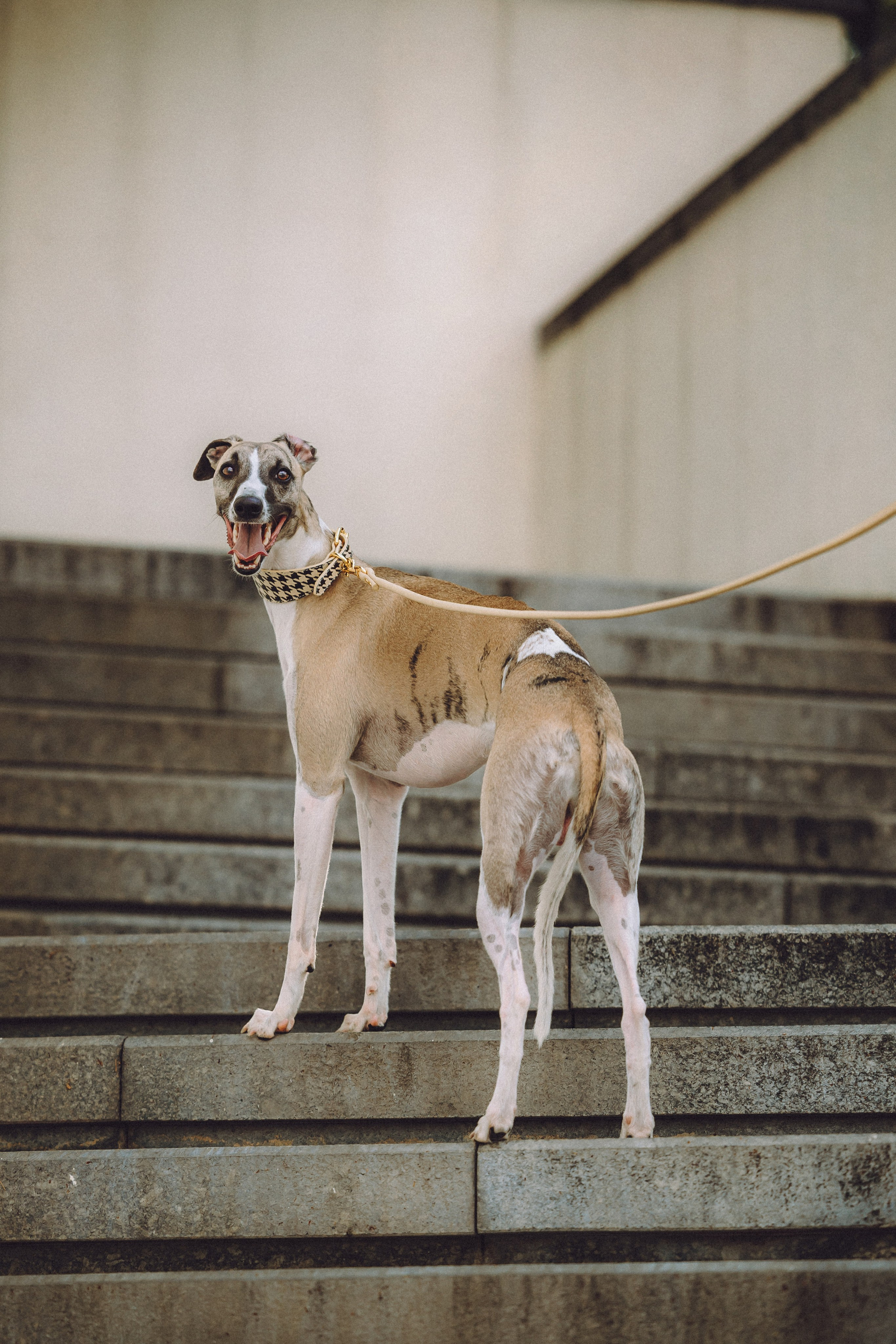 Ирина, Илья и Рик