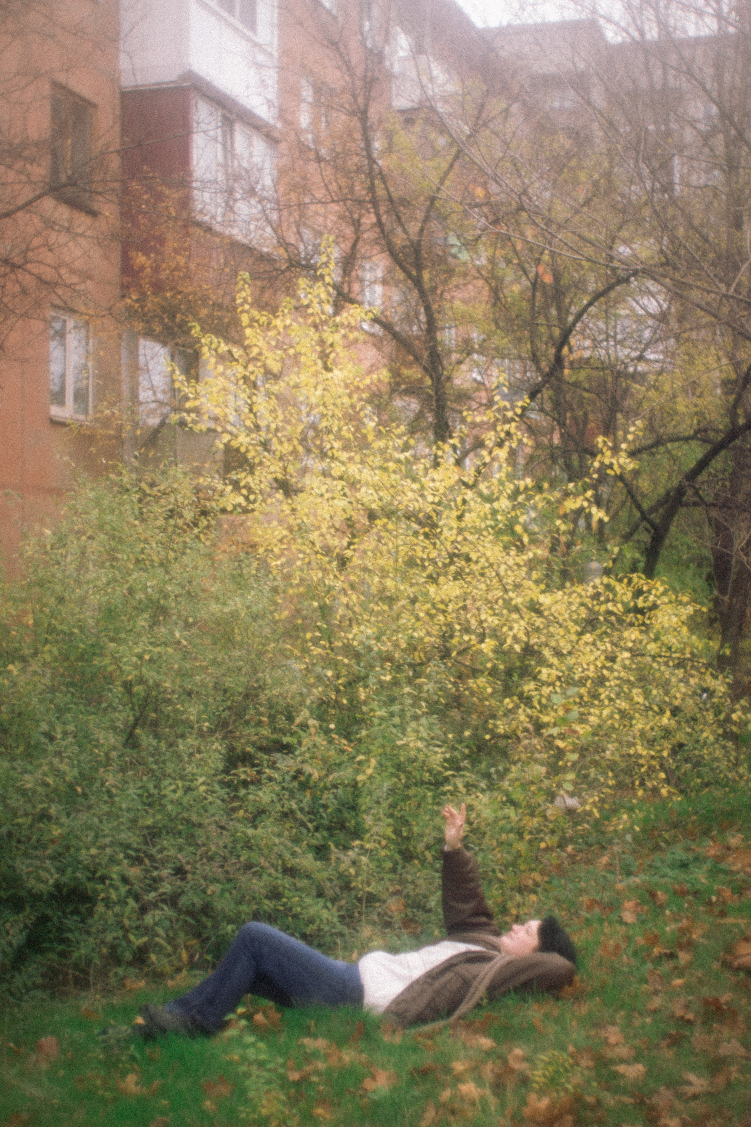 Представь туман пуховым одеялом. • Фотограф Александра Светозар Алчевск •