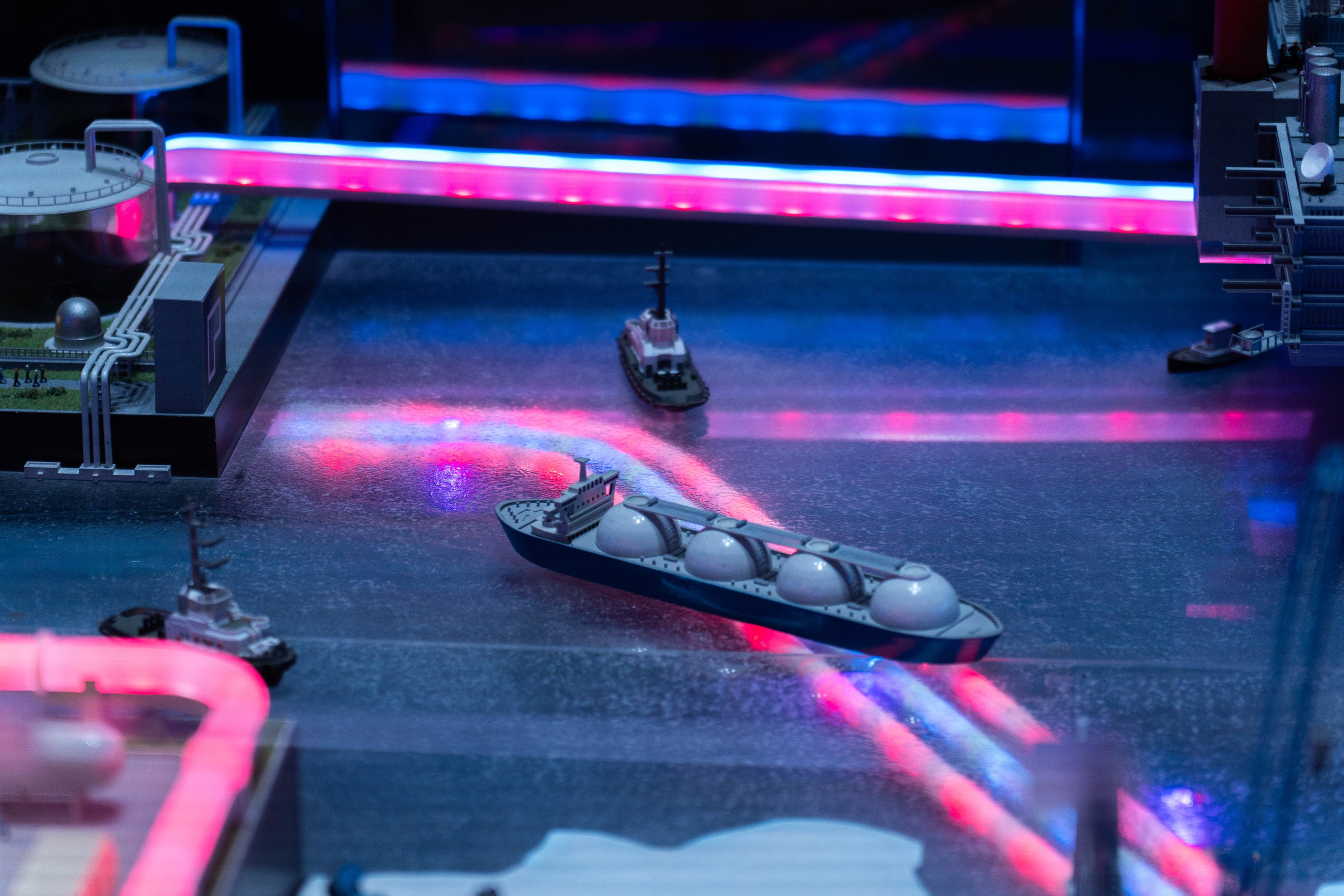 Кибердом | Бизнес конференция. Фото и видео съёмка в Москве и МО Александр Чапала и Трояк Алеся