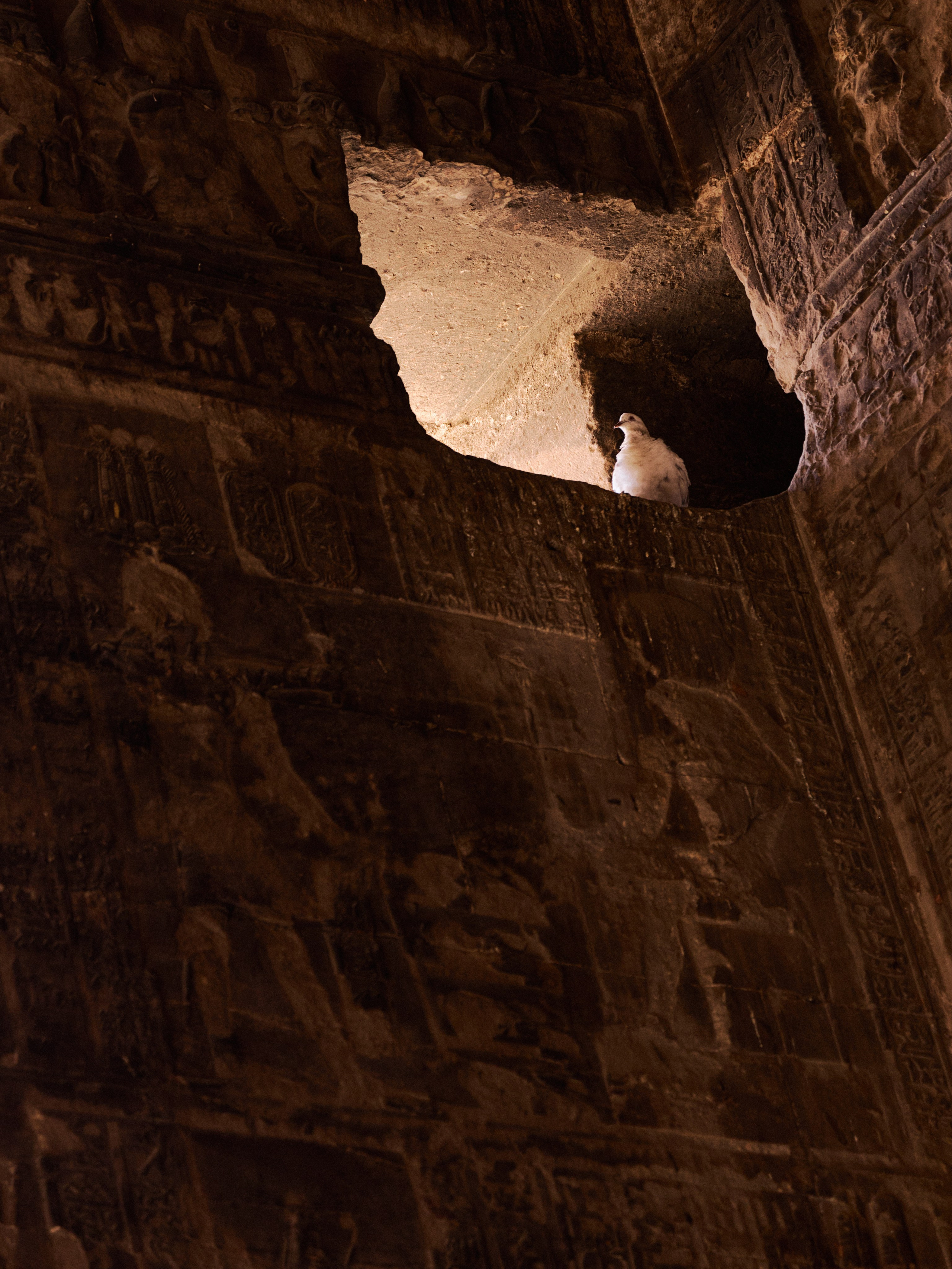 Другое 4. Jorgis — фотограф в Хургаде / обучение фотографии