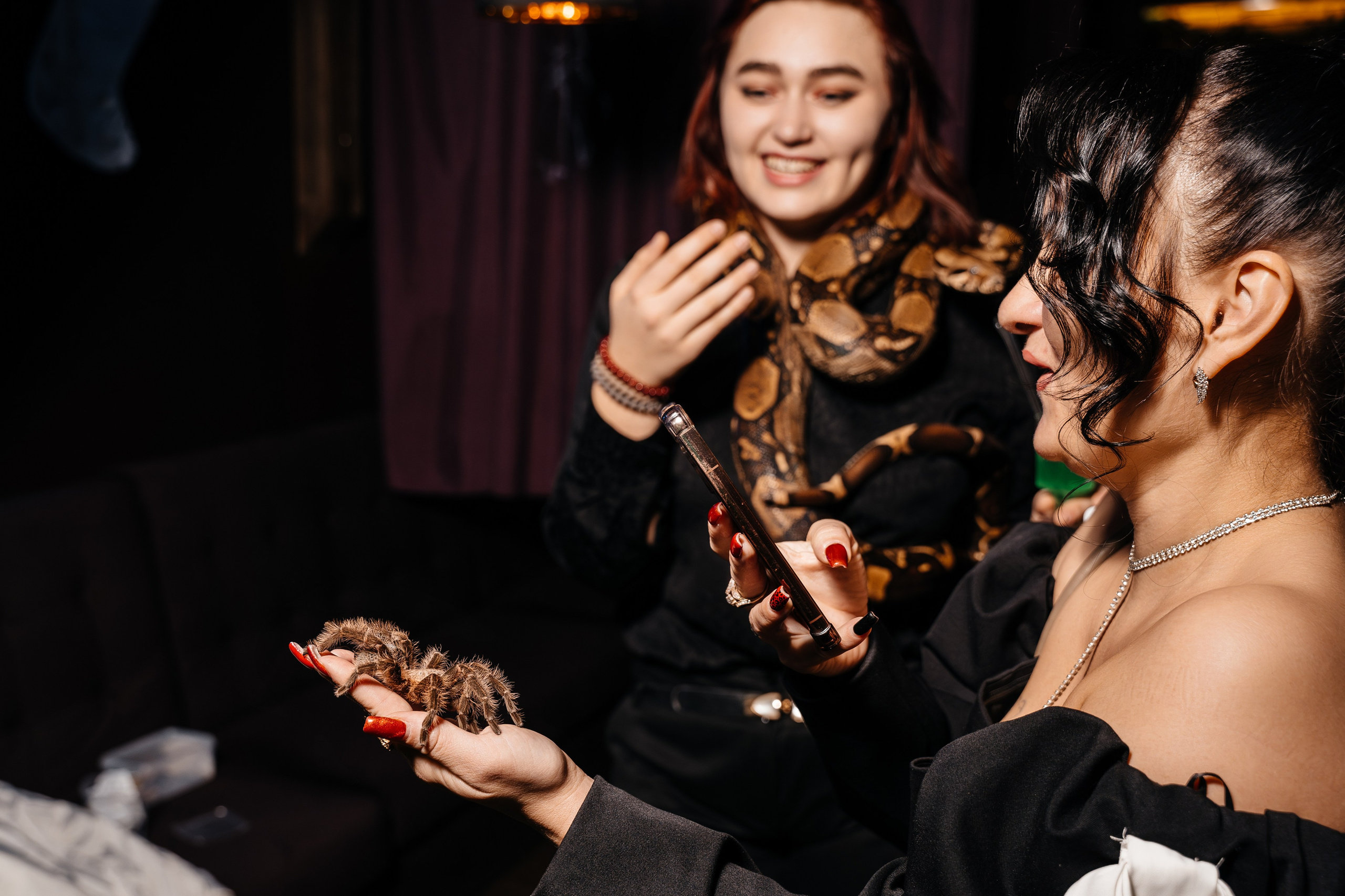 Корпоратив «СОВКОМБАНК». Свадебный фотограф Барнаул Алексей Павлов