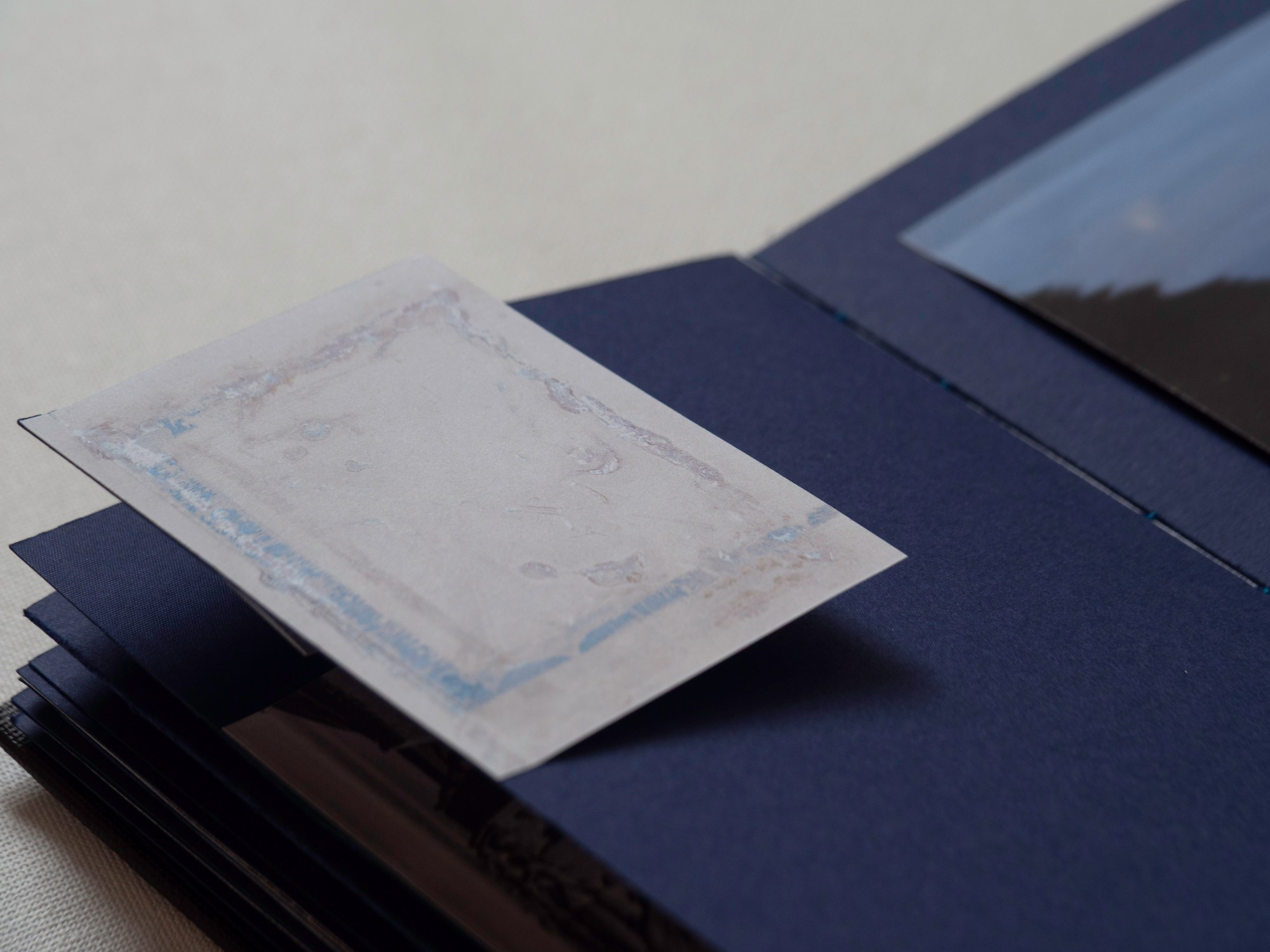 On Shore. Ekaterina Shikhanova