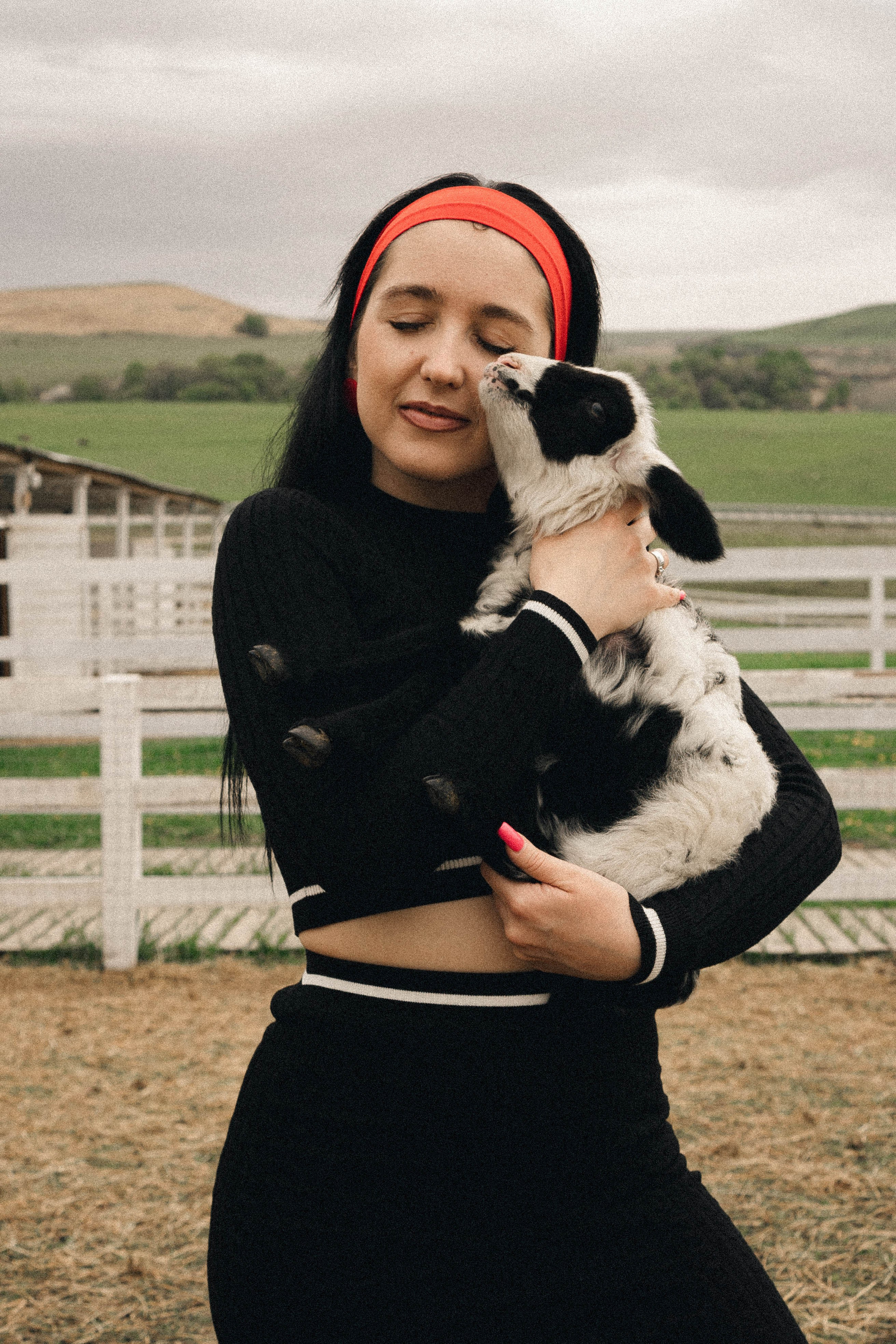 Ферма Альпак. Профессиональный фотограф, Санкт-Петербург — Виктория Богомолова