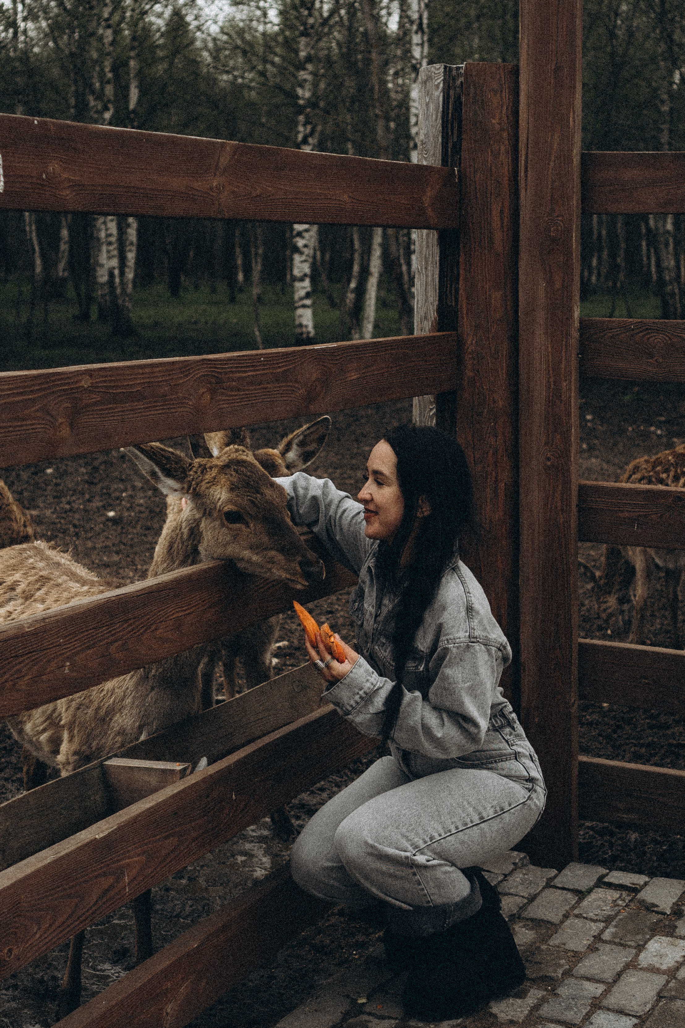 ОЛЕНЬЯ ФЕРМА В ТВЕРИ. Профессиональный фотограф, Санкт-Петербург — Виктория Богомолова