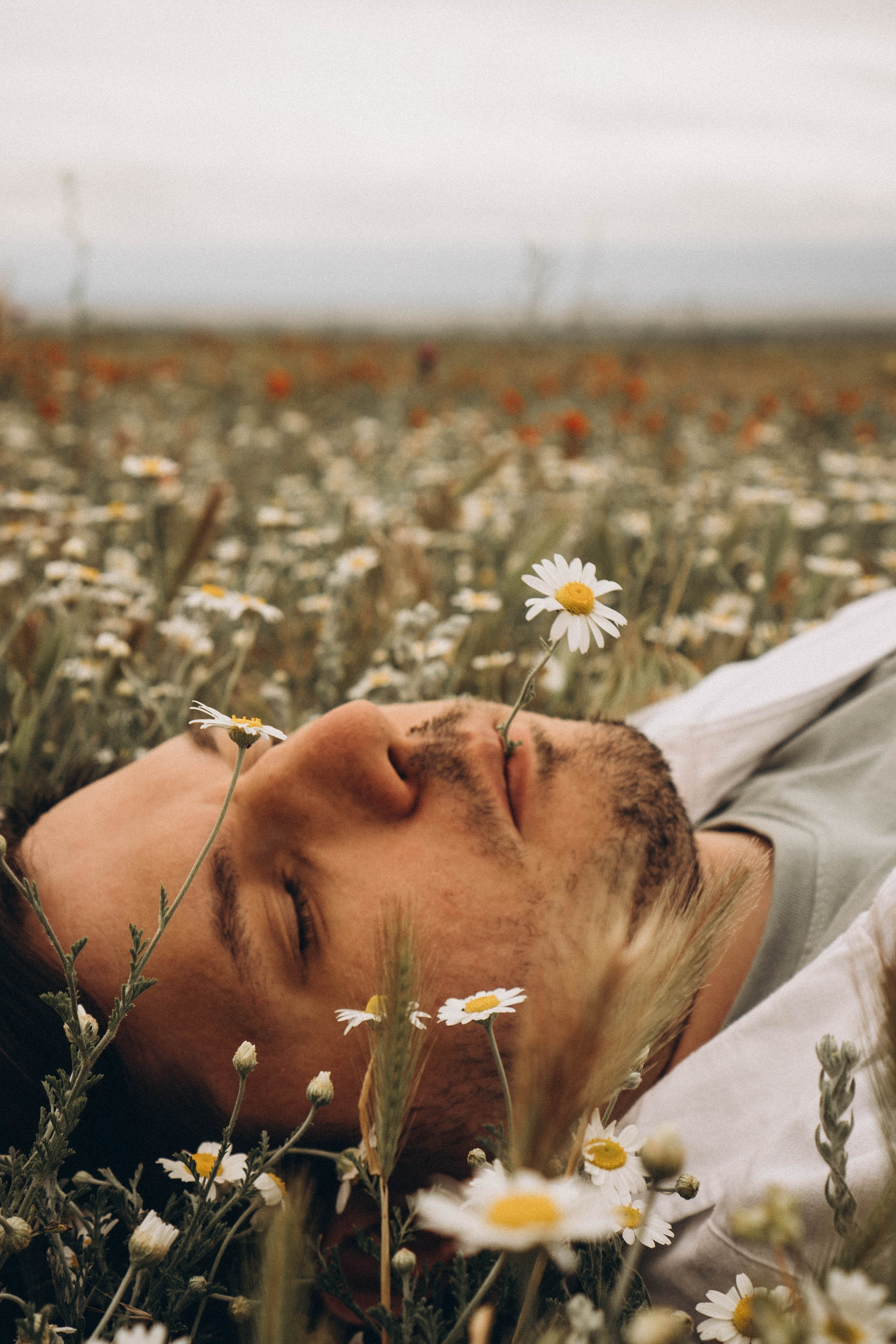 Маки. Профессиональный фотограф, Санкт-Петербург — Виктория Богомолова