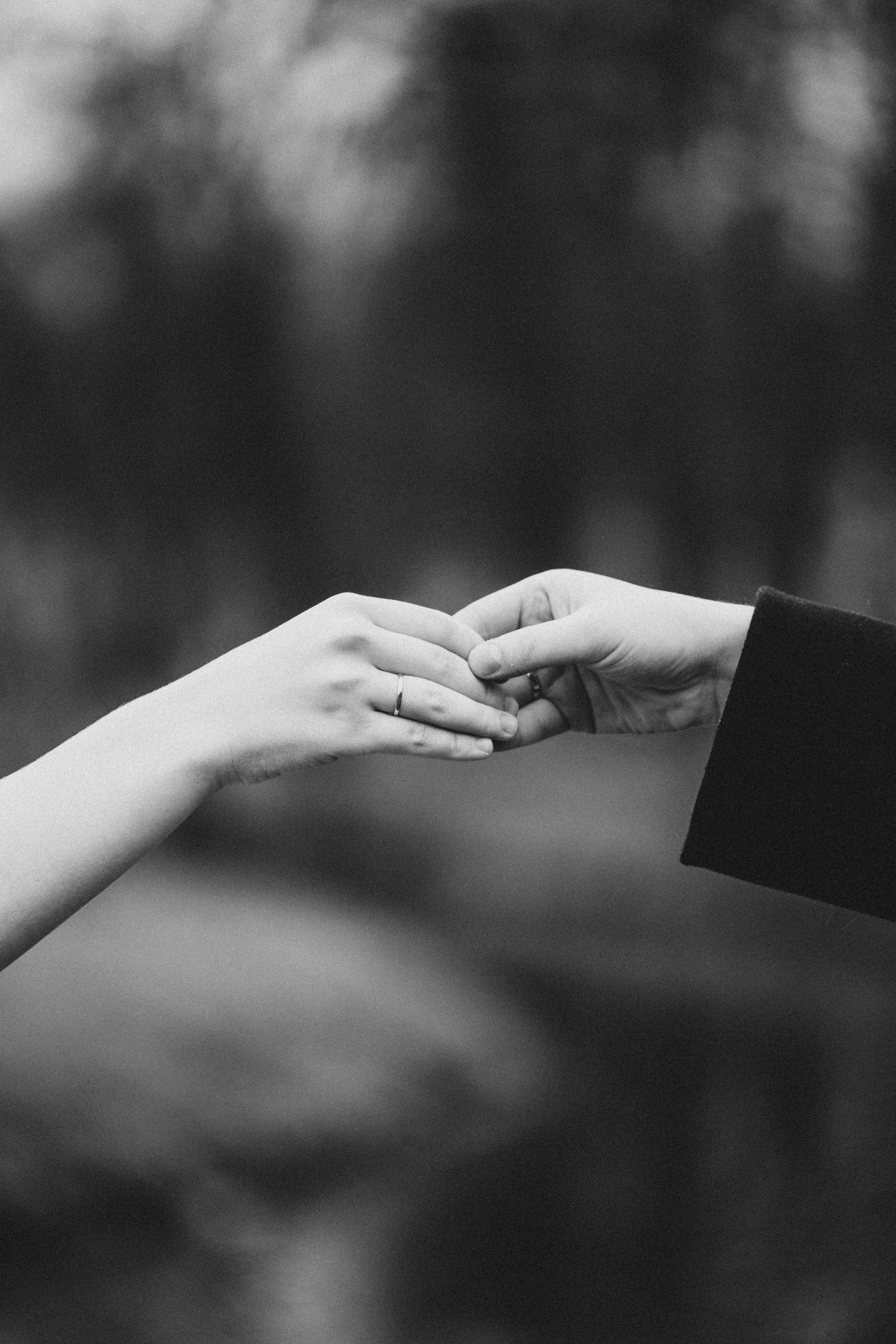 СВАДЕБНАЯ ВО ВТОРОМ ДВОРЦЕ И ПРОГУЛКА В ТАВРИЧЕСКОМ САДУ ЧБ. Профессиональный фотограф, Санкт-Петербург — Виктория Богомолова