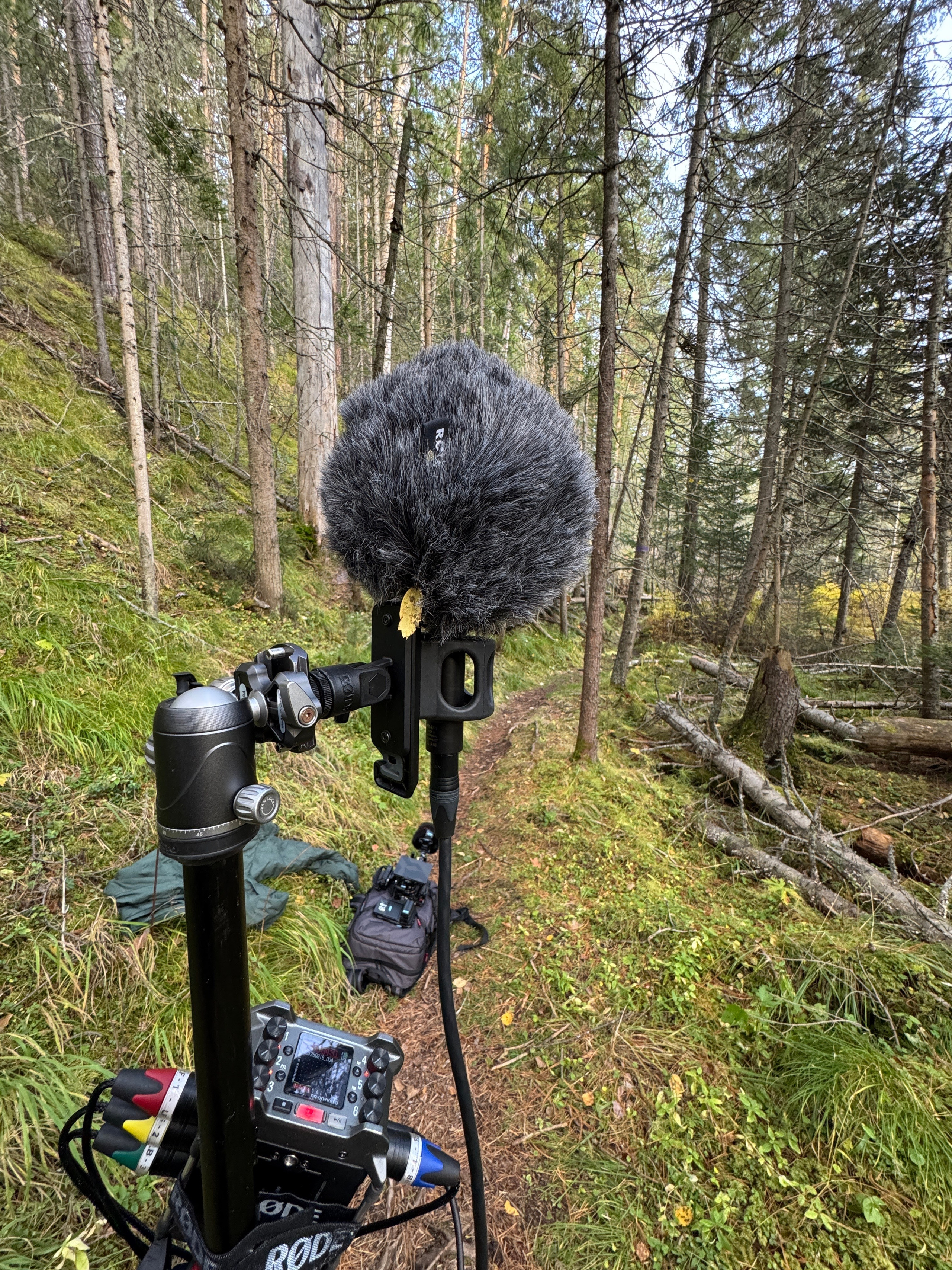 Крепче камня. Василий Буйлов|Vasilii Builov