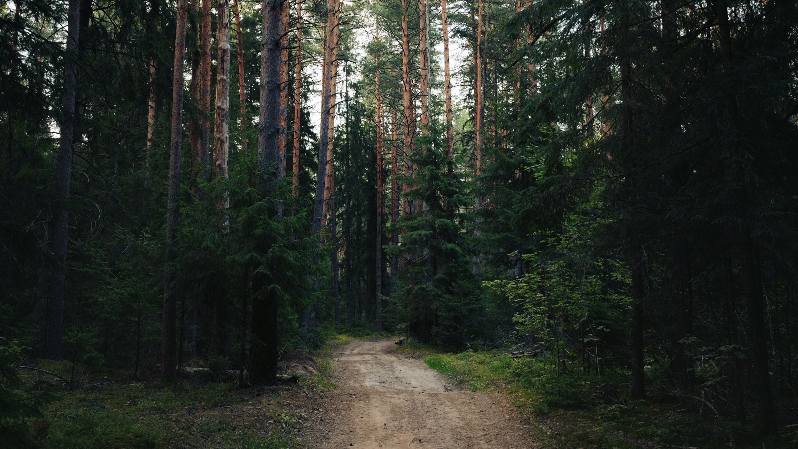 Невидимый спектр. Komonev