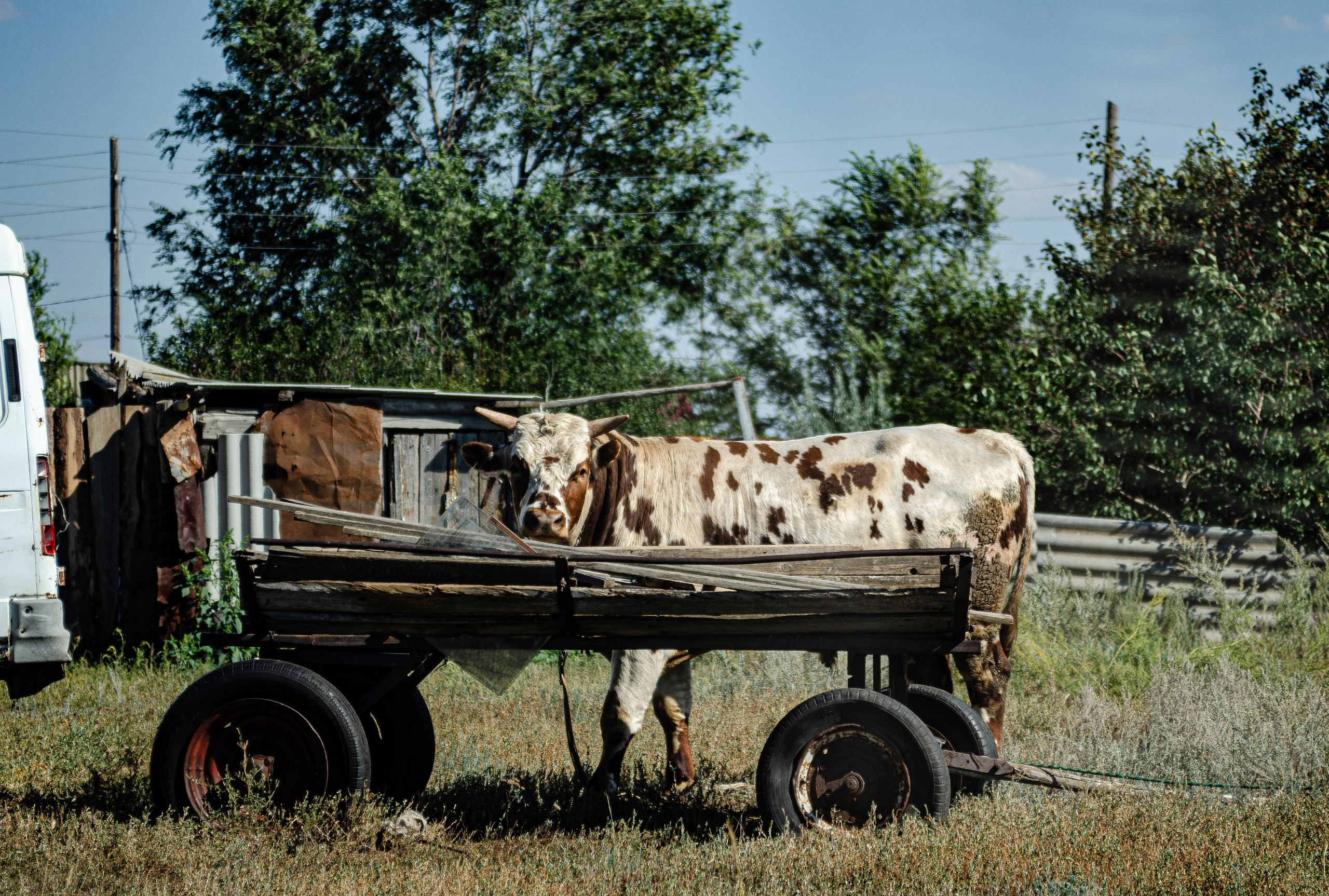 Пейзажи. Sreda fotoArt