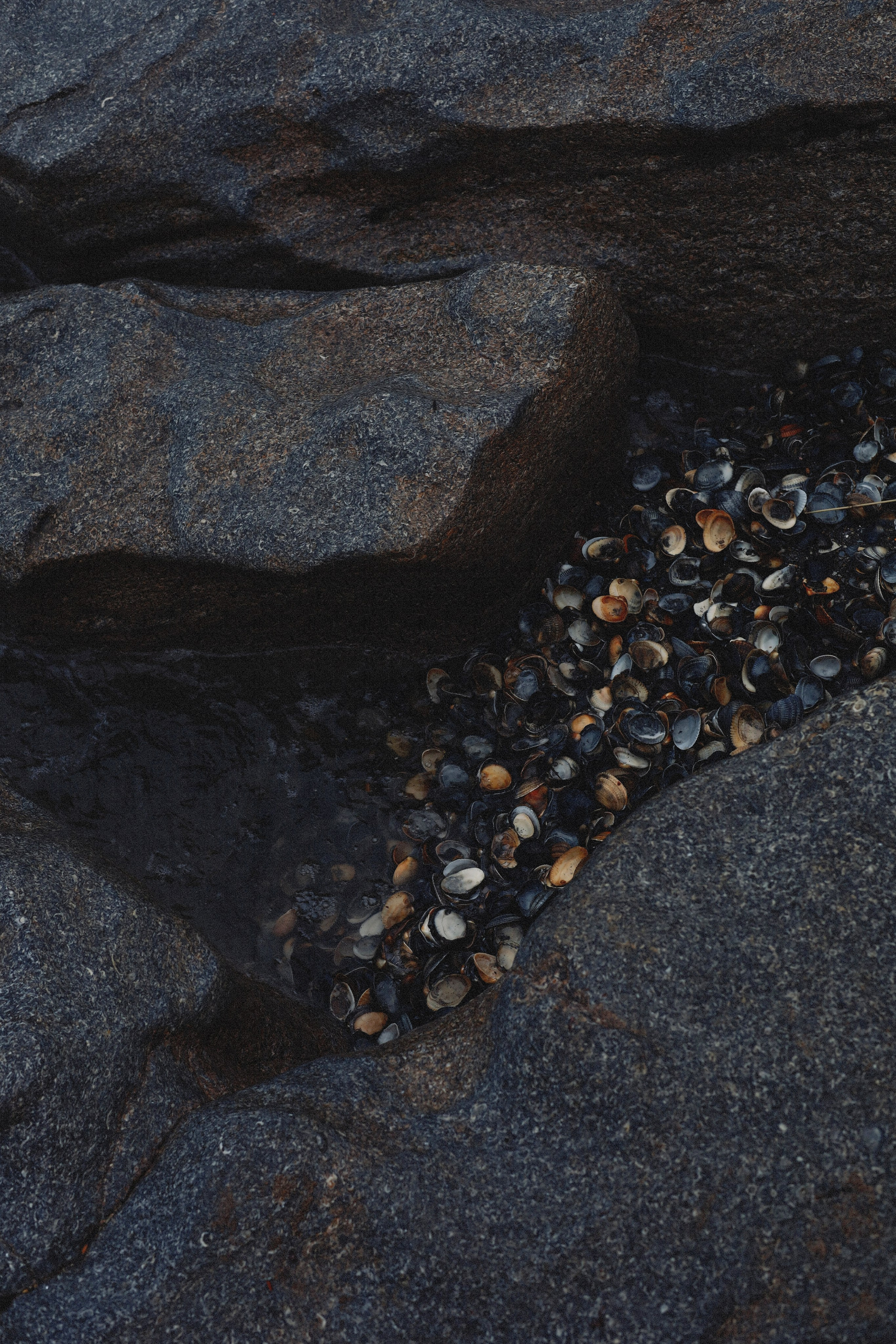 Все, что вокруг меня. Фотограф Евгения Ошкина, Саранск