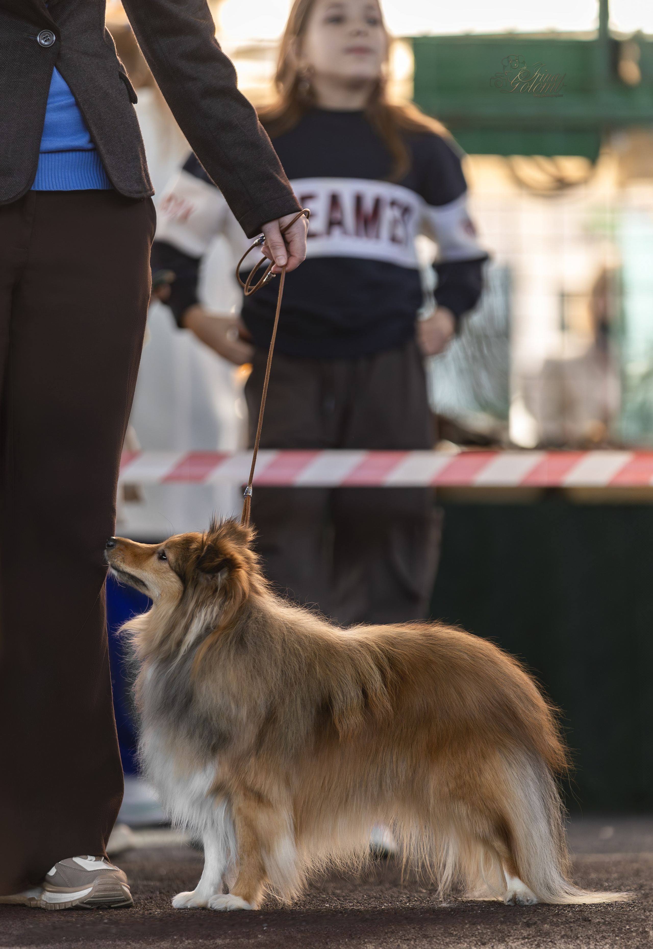 Выставка 25.02.2024. Ирина Голомб|Фотограф-анималист в  Сочи и Калининграде