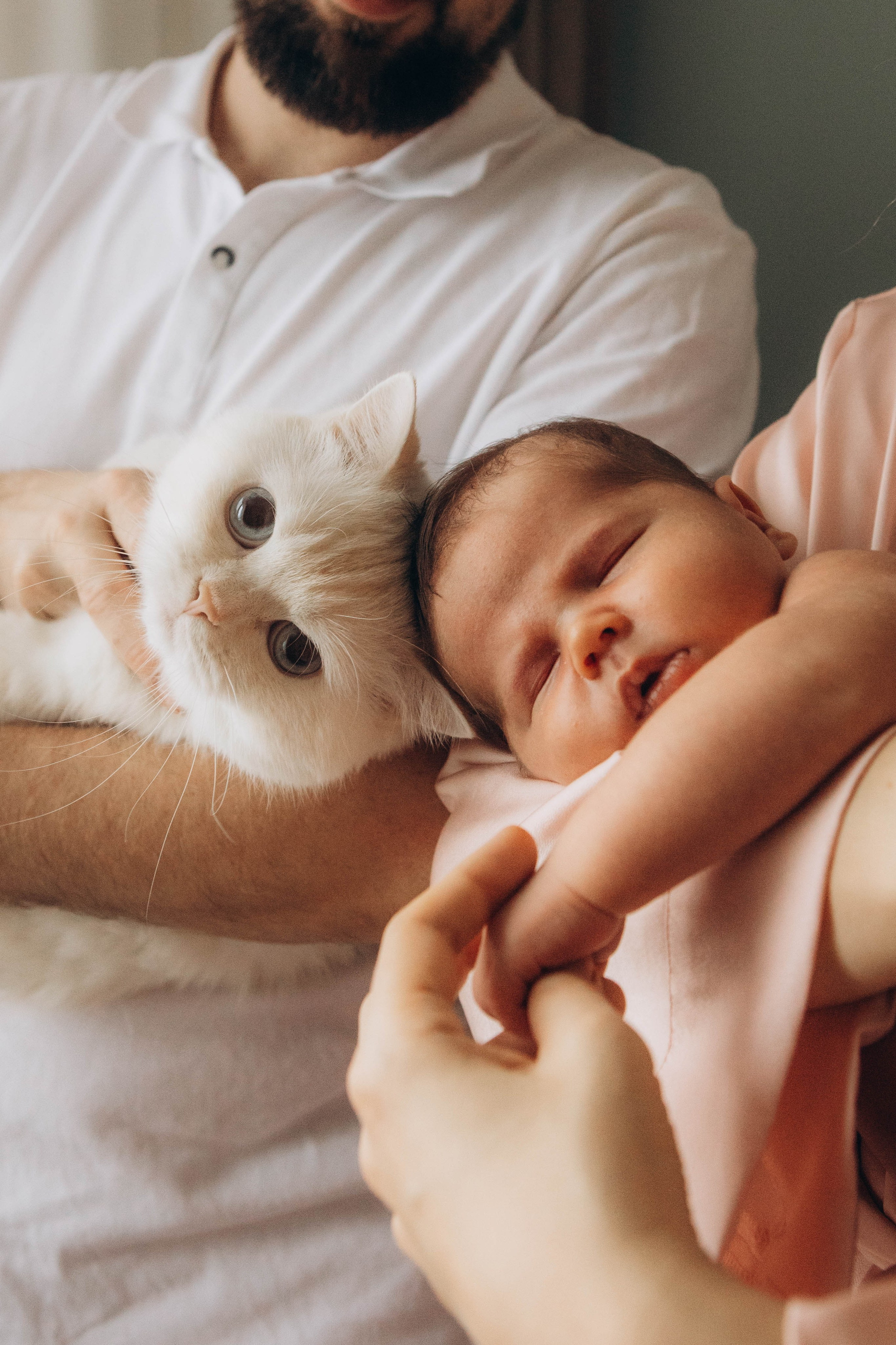 Ярослав. Наталья Косьянова. Ваш фотограф. Москва