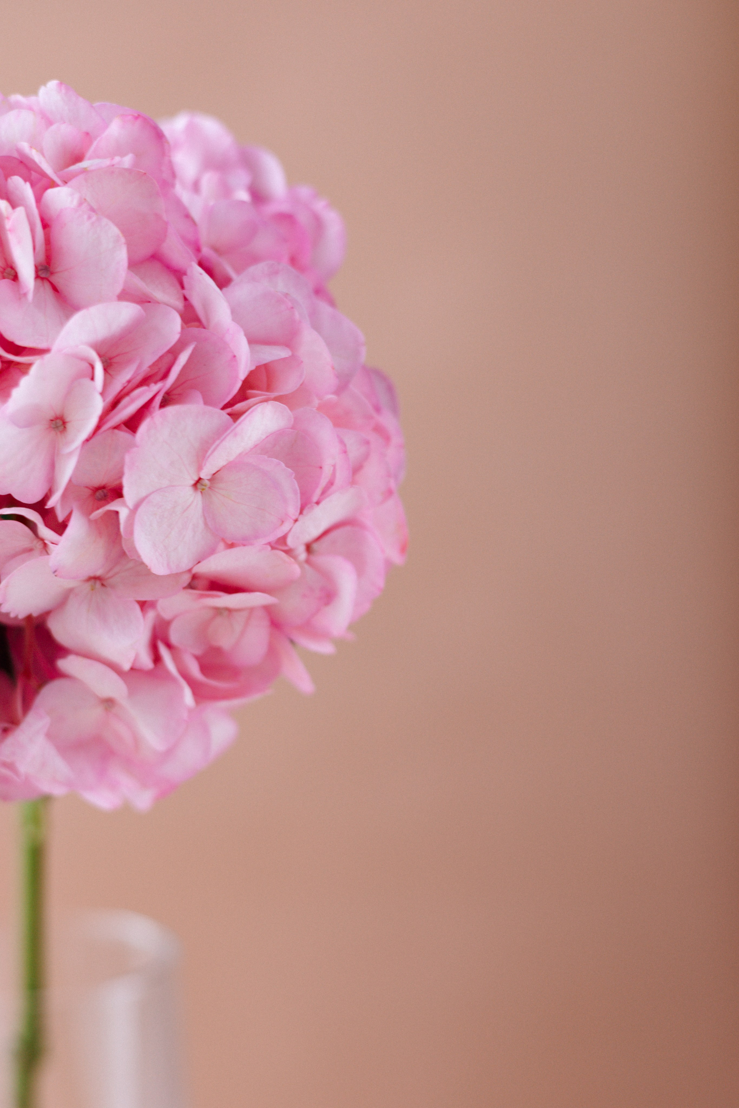 Кейс магазин цветов. Ваш фотограф