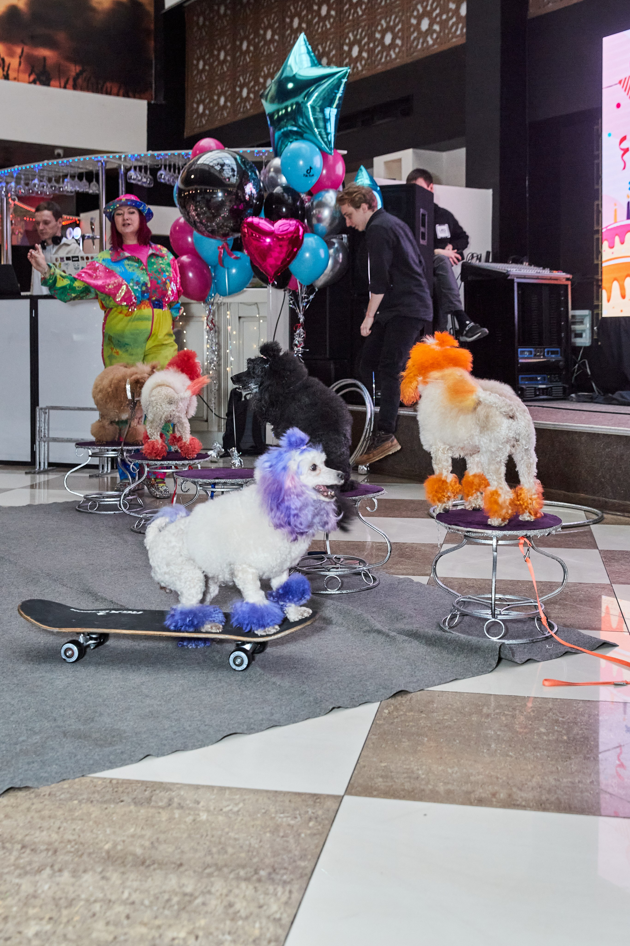 Большой День рождения девочки. Budanovaphoto.ru