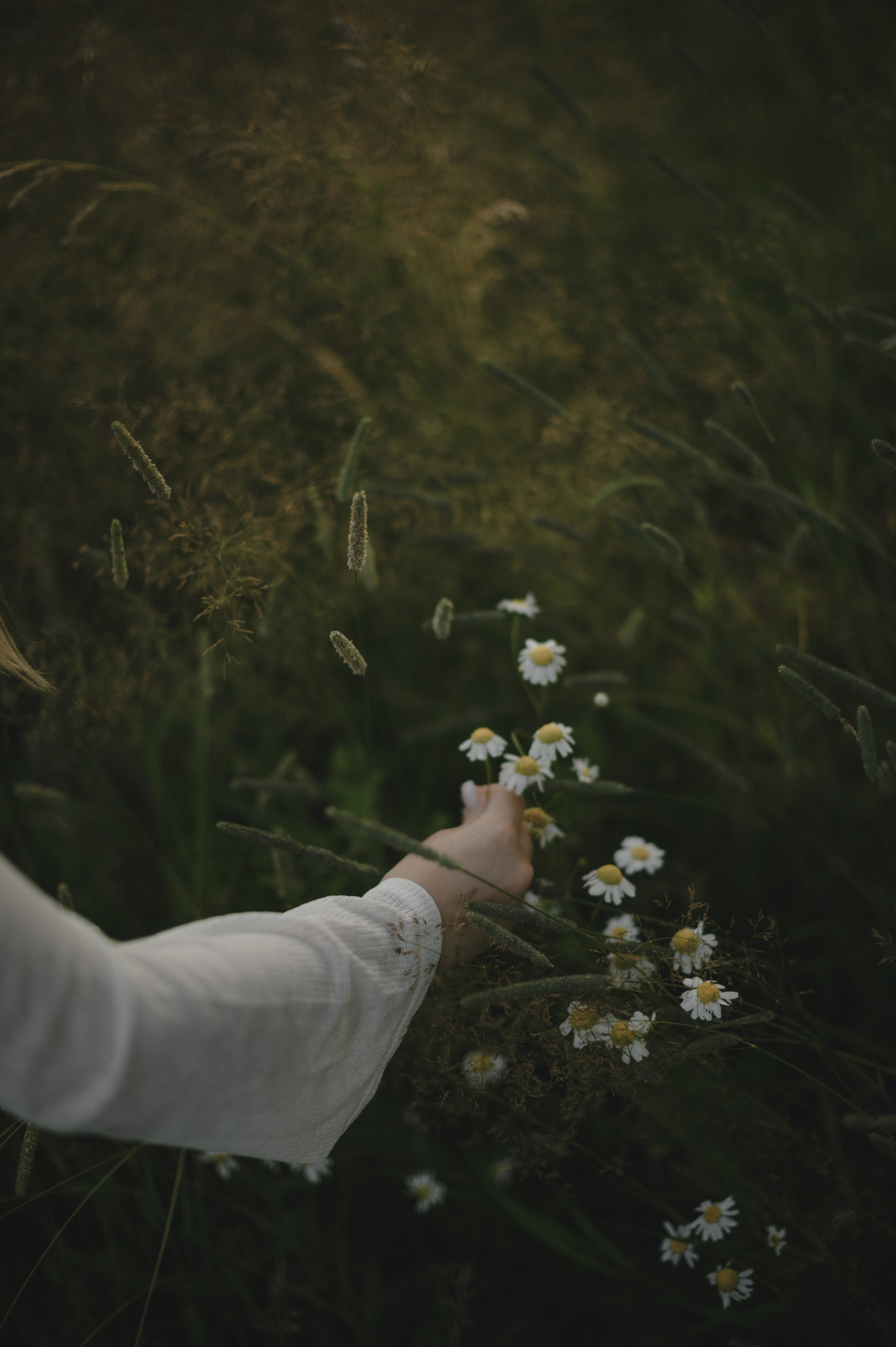 Polina. Профессиональный фотограф в Чебаркуле и Челябинске Давигора Елизавета