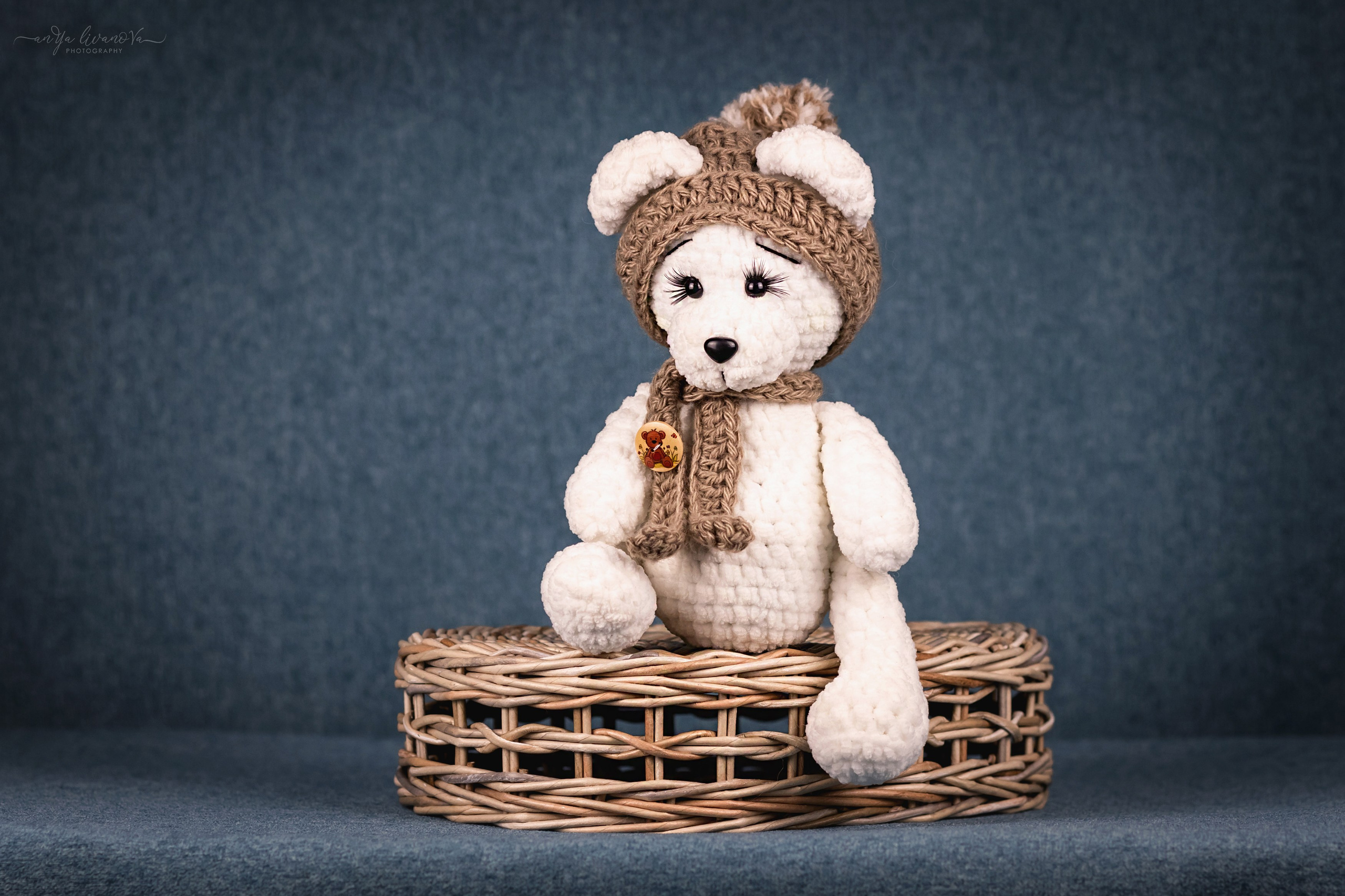 Бирюзовый фон. Фотограф анималист Аня Ливанова | Рыбинск