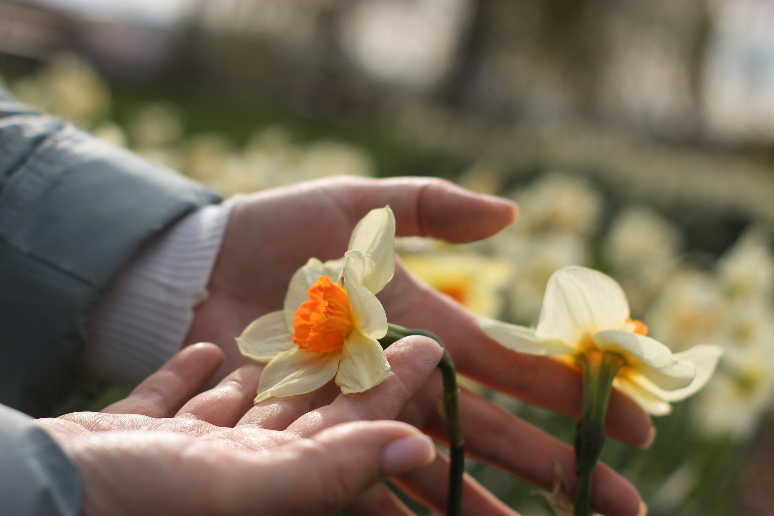 Прогулочные фотосессии. Фотограф Ольга Южная / Екатеринбург
