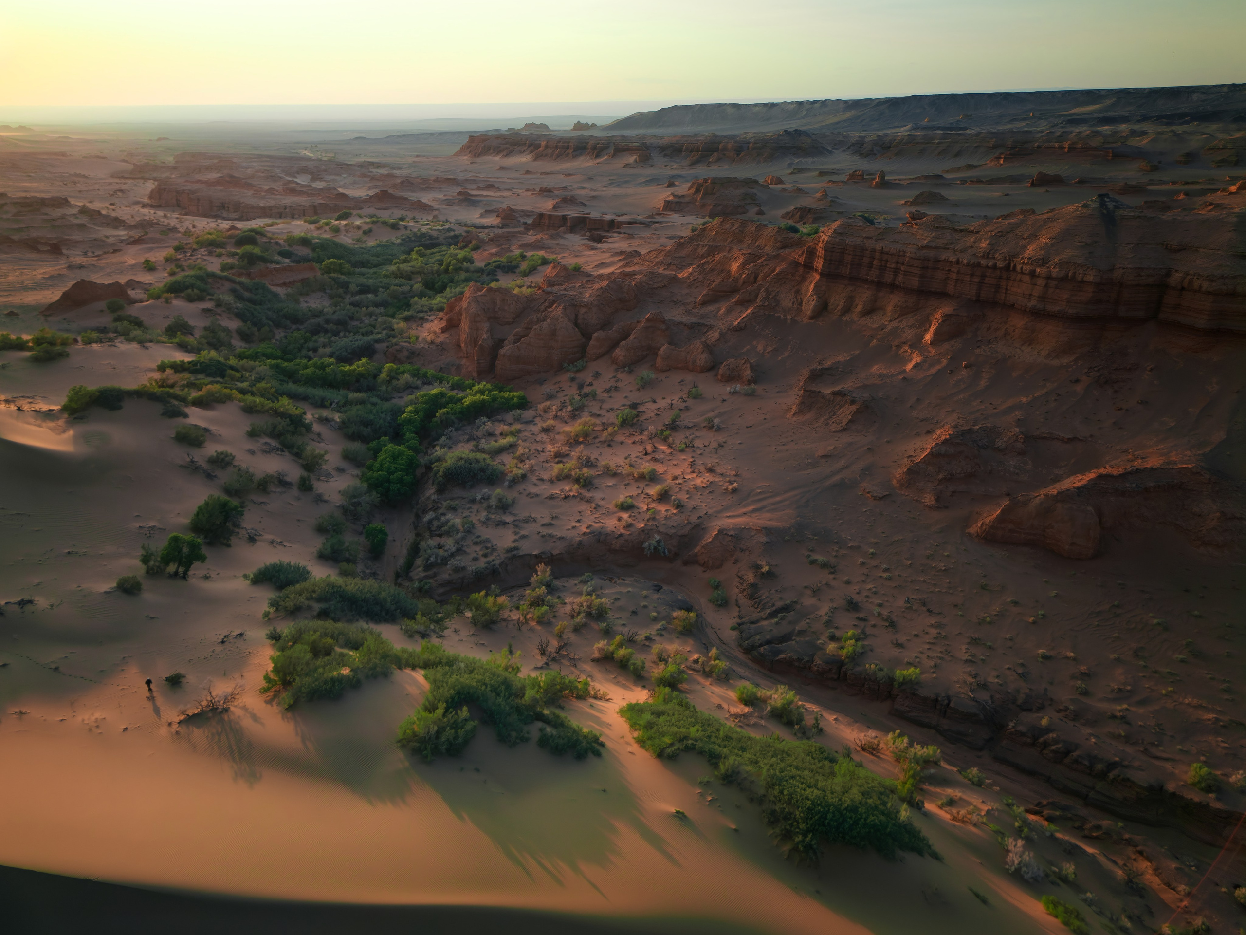 Экспедиция в Монголию (Гоби). Семоха Валерий. Фотограф